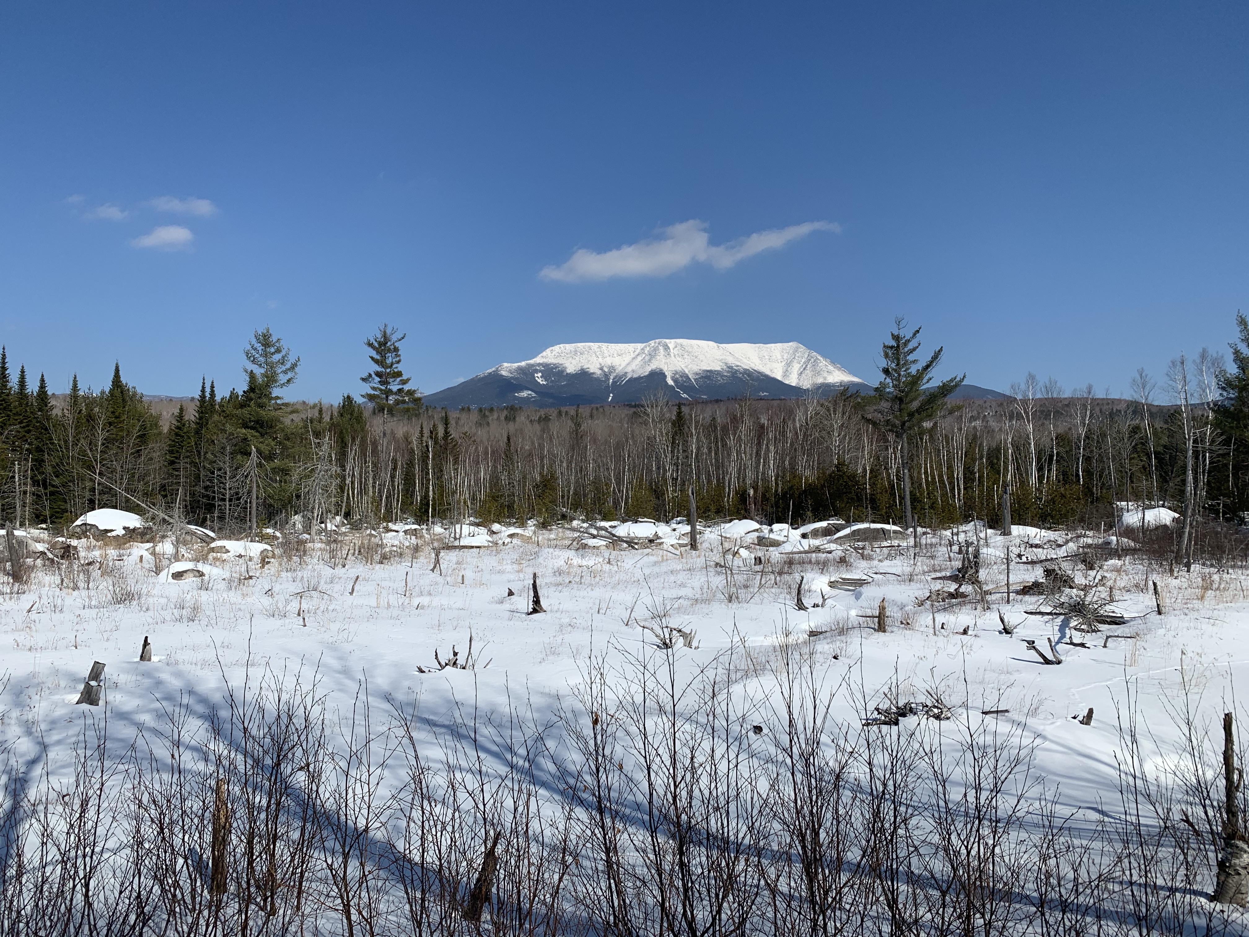 7IVU2ozATVutoLkq+gHDog