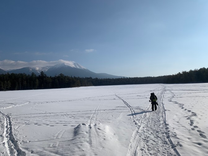 gAGP+N%KTD+nk8xAFF0qMw