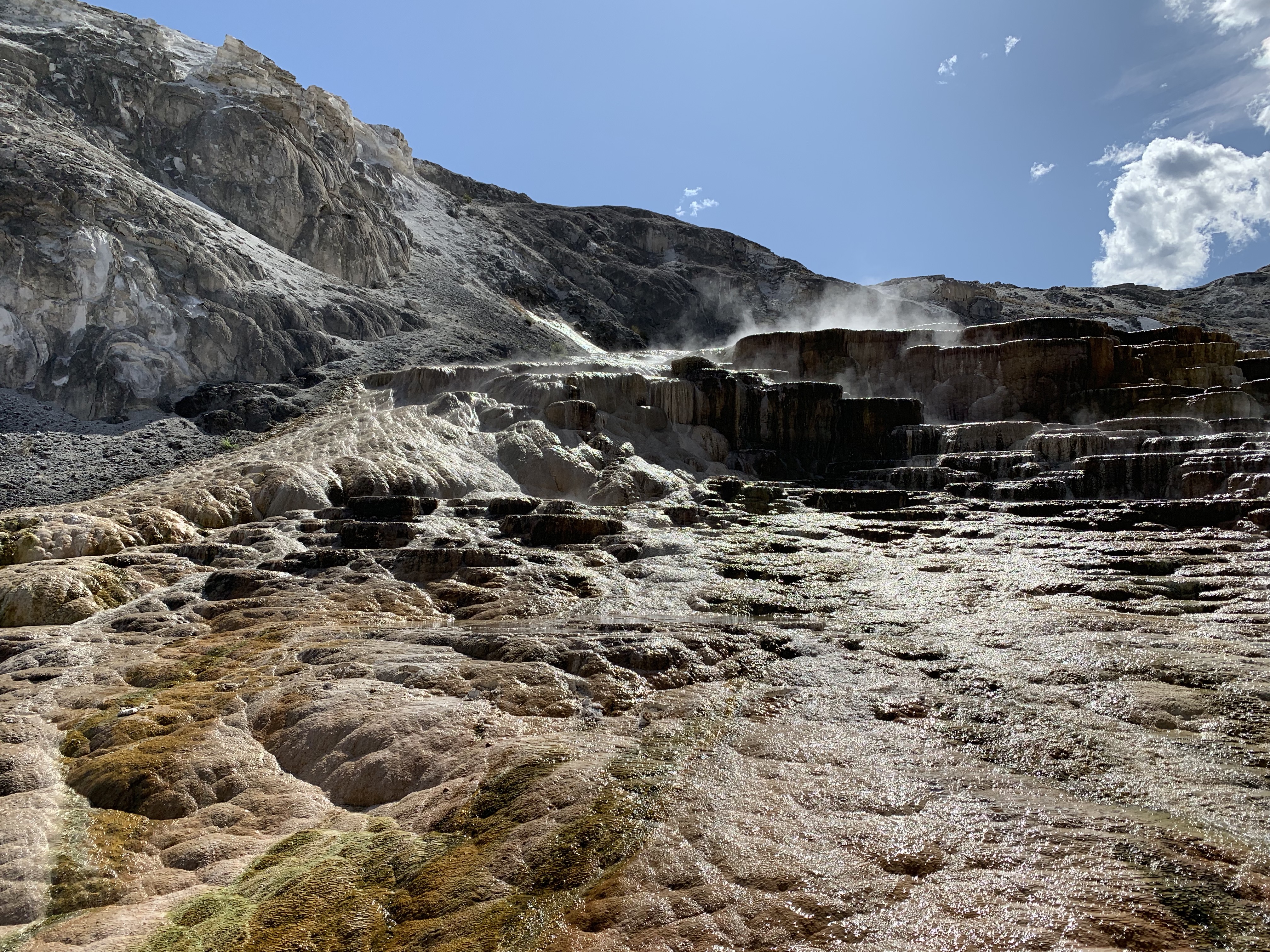 17qT++4UST+5jduPhTKMhA