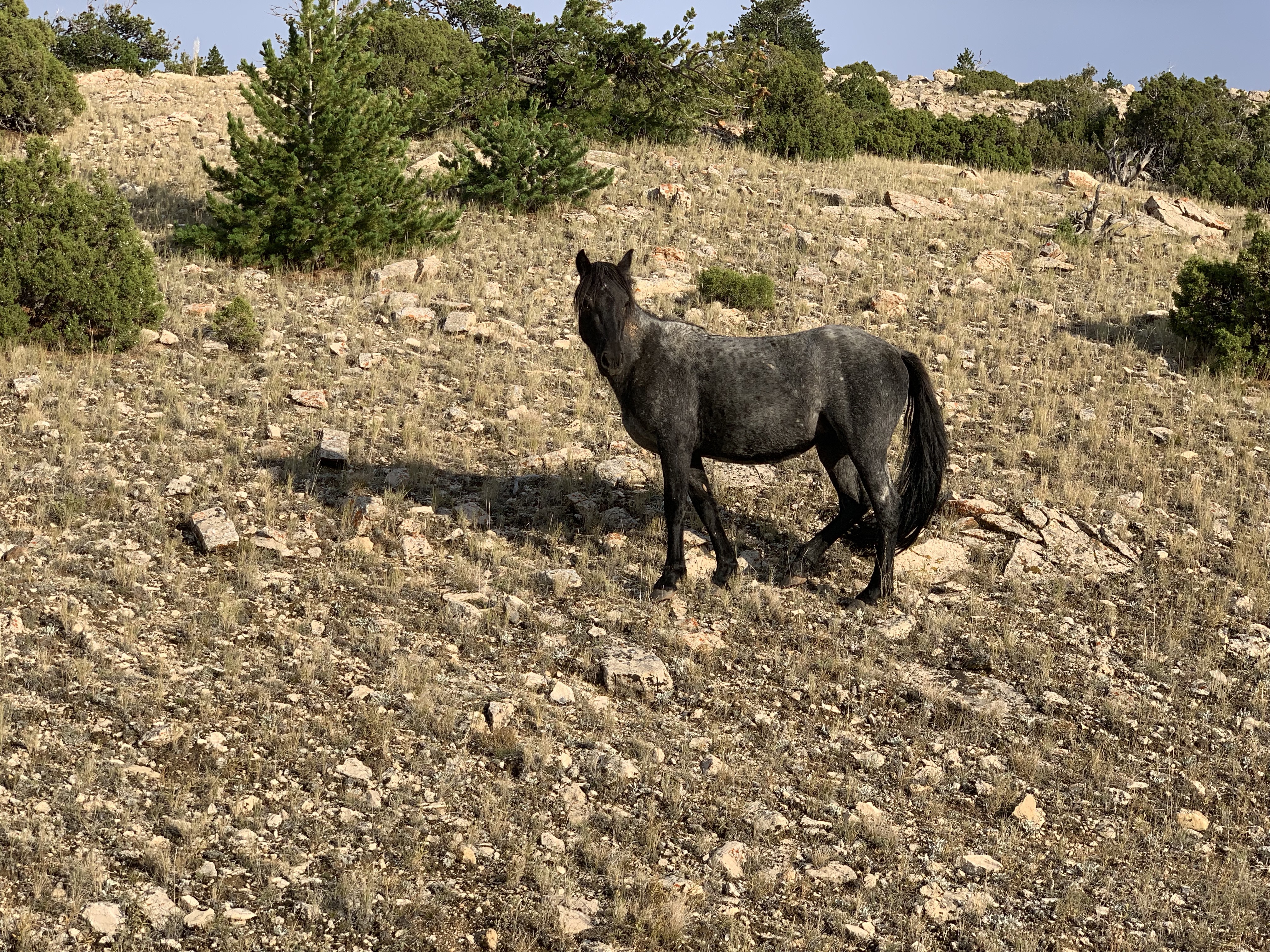 1Fw4v3MWRBew80Qzq%A%SQ