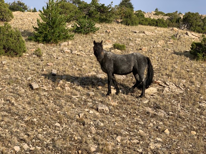 1Fw4v3MWRBew80Qzq%A%SQ