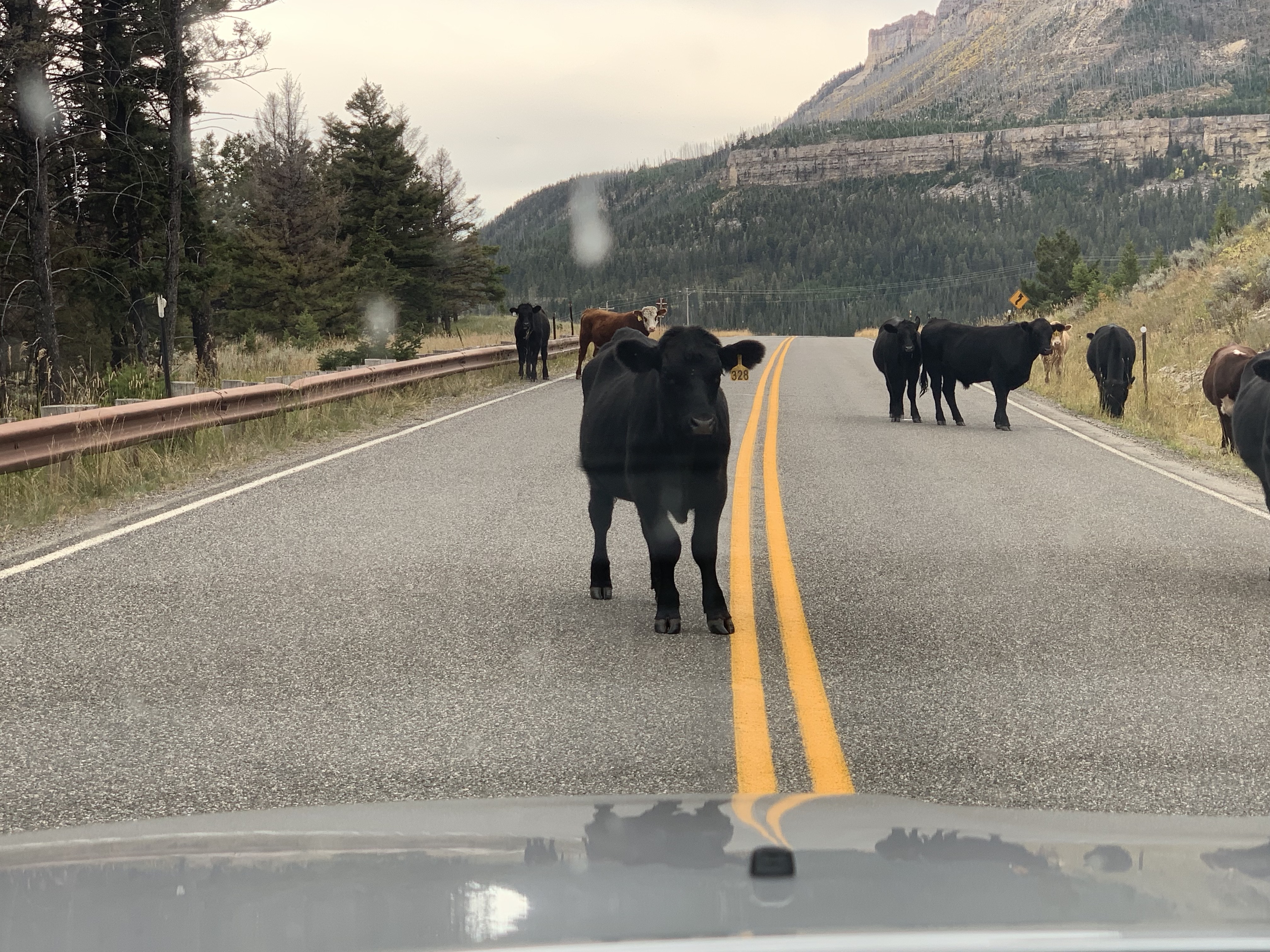 2TxFAumVRaiKvrNPXeNSMw