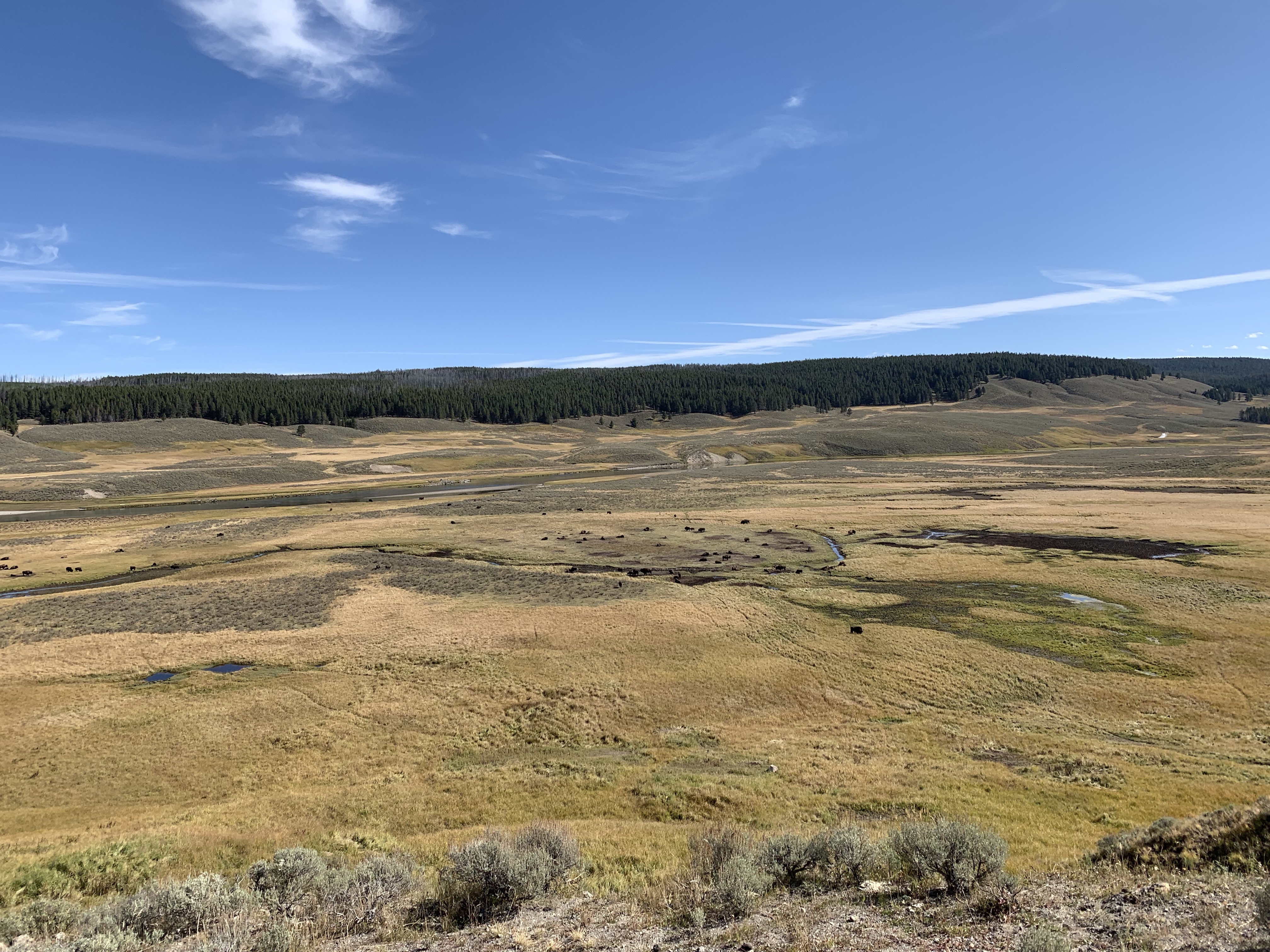 4a1iANxzSFiTgmER+zTKmA