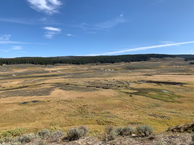 4a1iANxzSFiTgmER+zTKmA