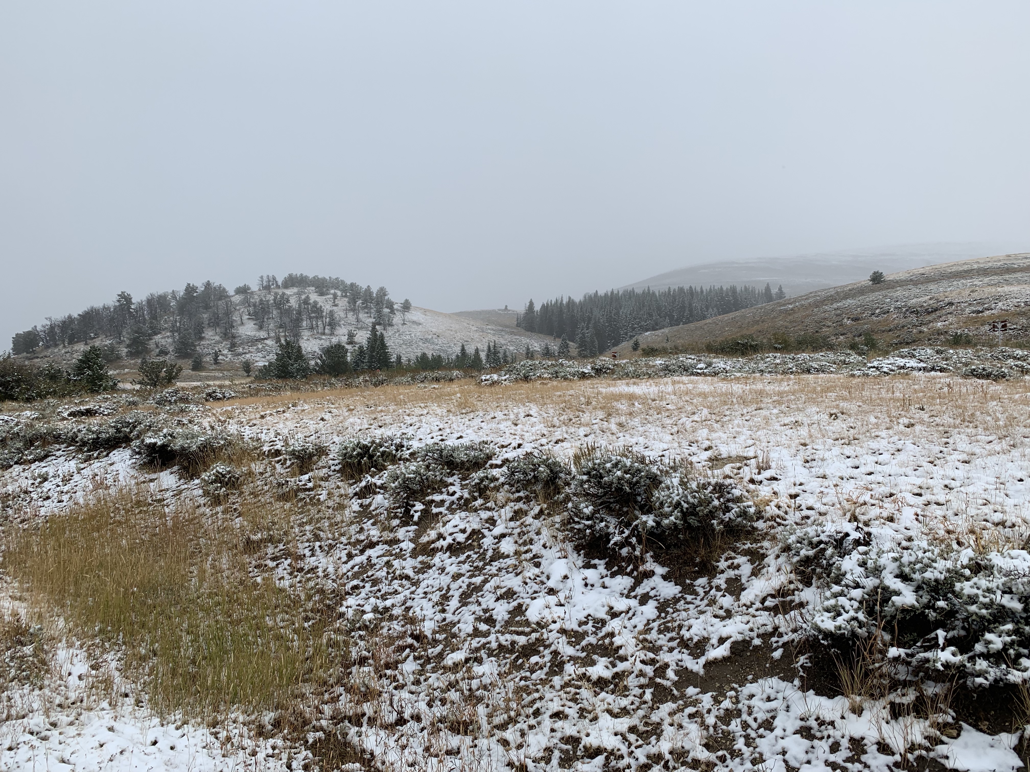 57DkwfZaTgy9zIhV1D7I3A