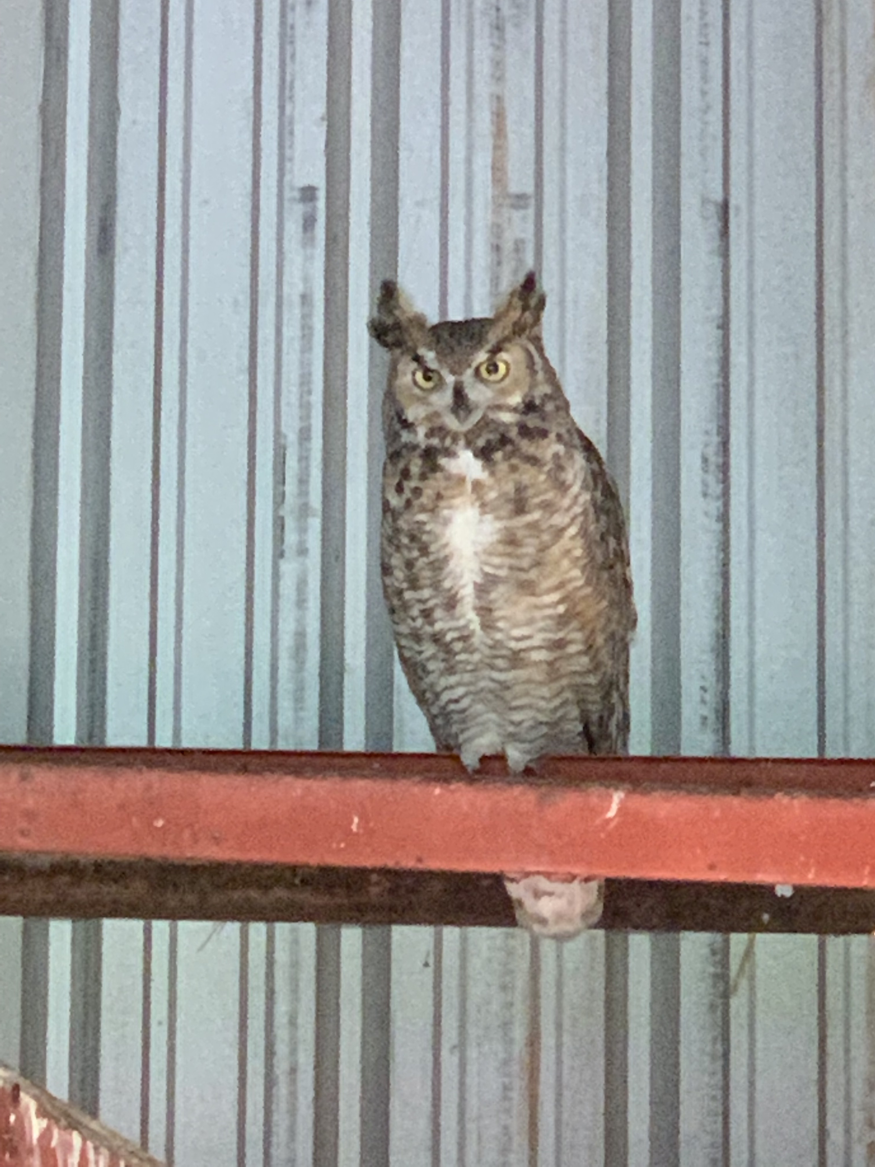 5mTTX+wlScK5wpdQ4KfUfQ