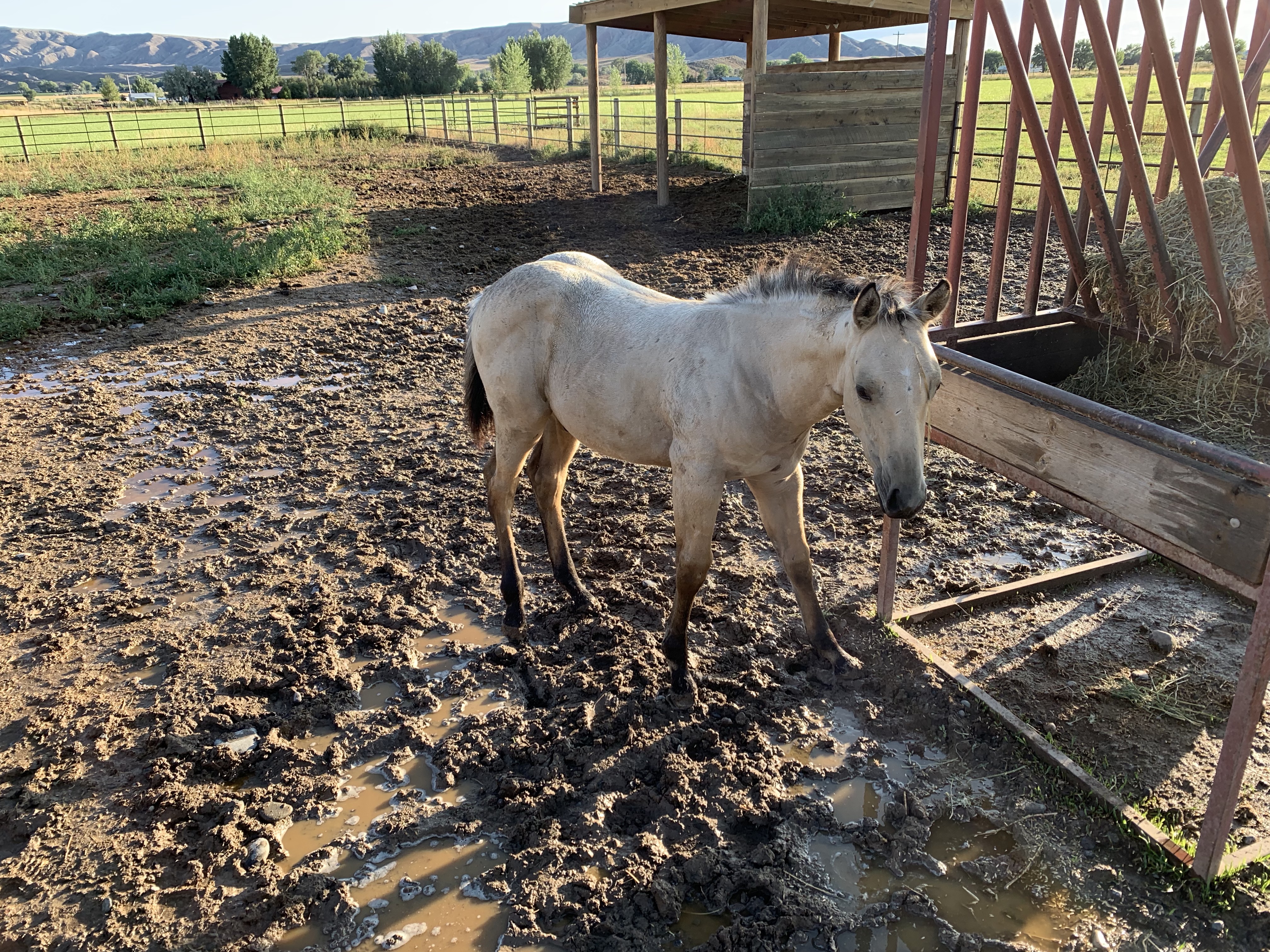 5qQpAjlkRcu%nTdpDymSsg