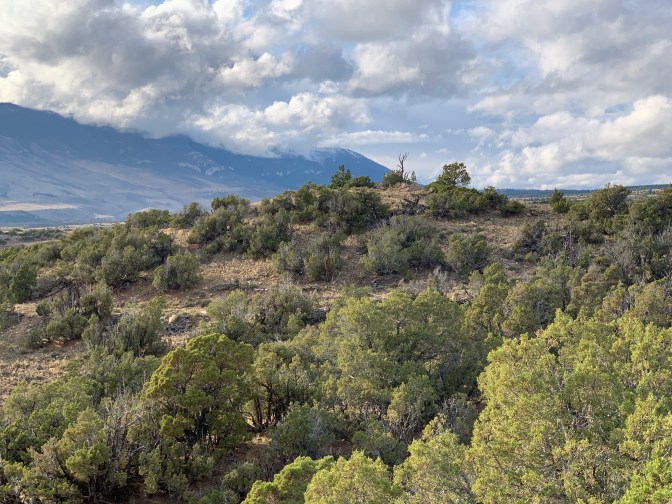 6D8kKI0WQCOVpF+yuqfaww