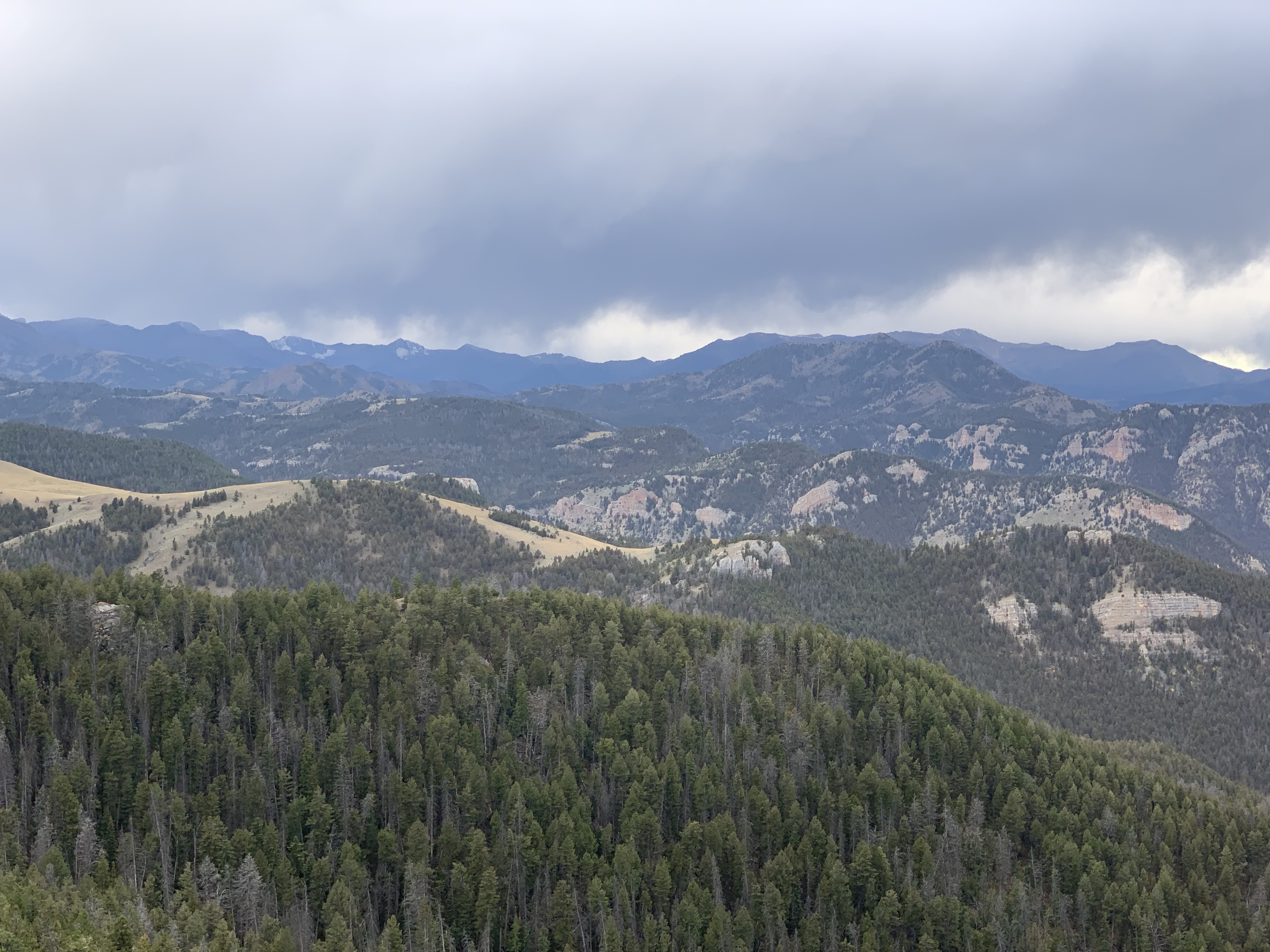 6iAPz+2EQTGMUCicfQsTAA