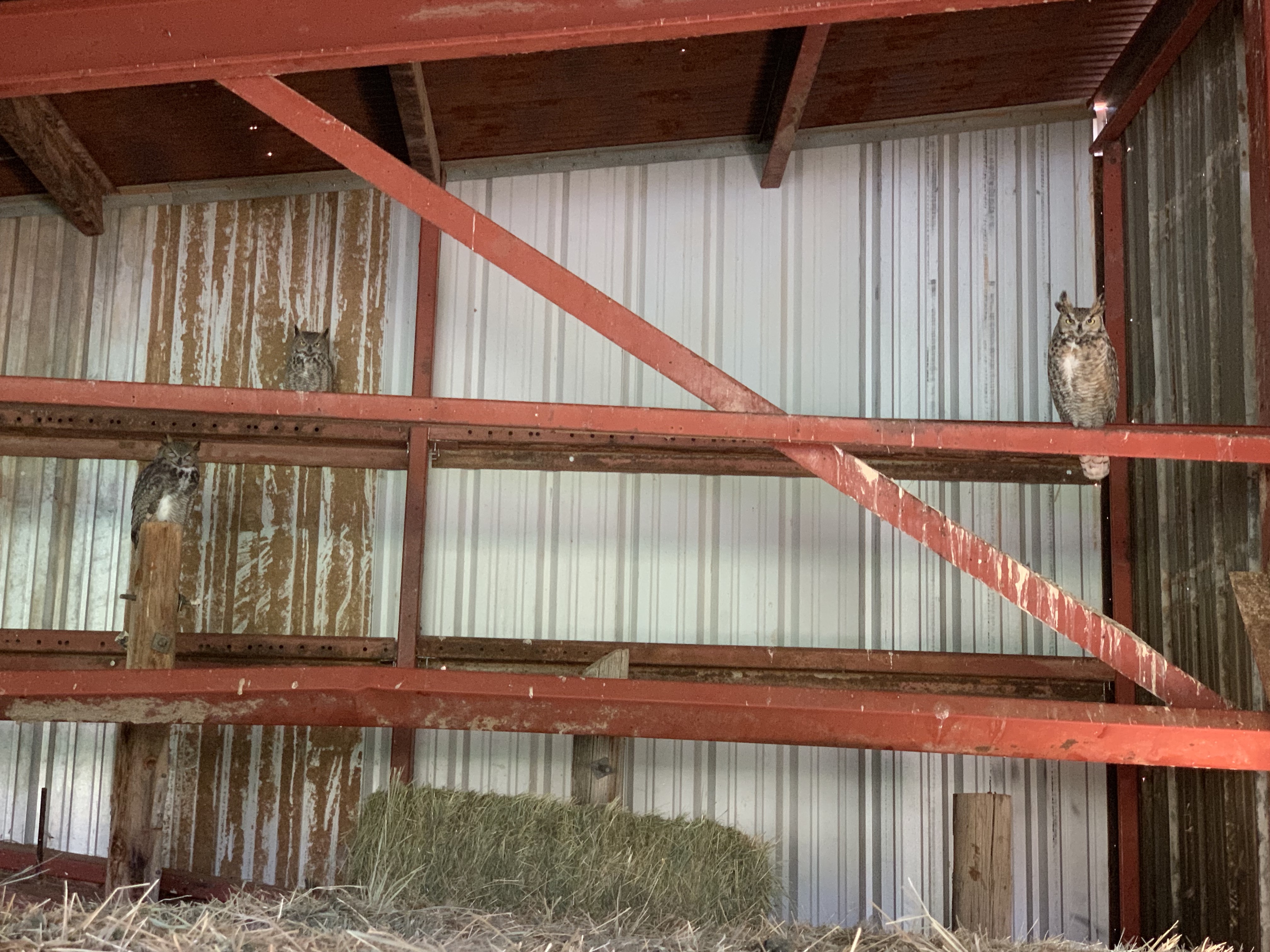 9uiqw9PETiabemcCXz7csw