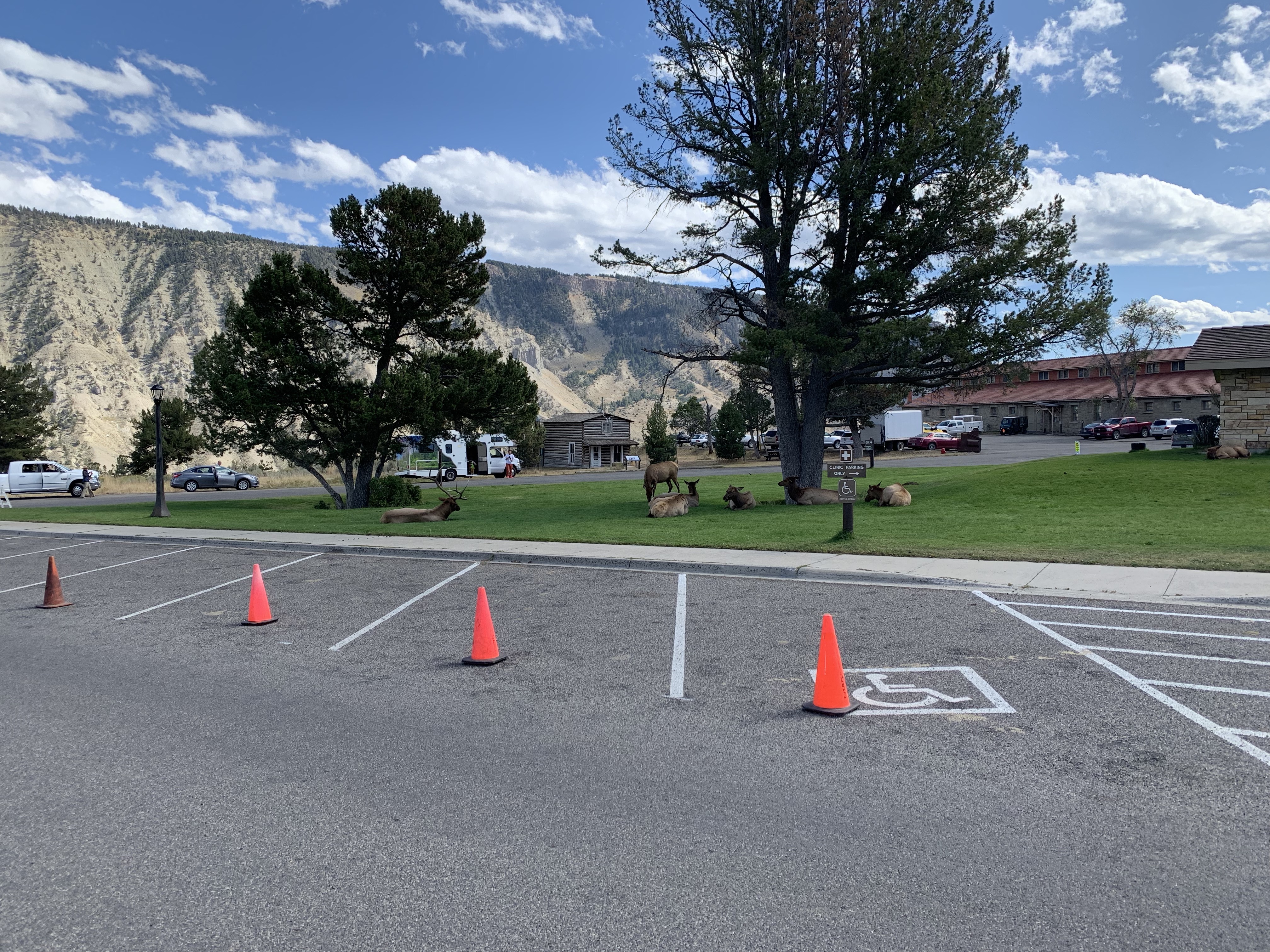 aOp8qjNGQfu%t0W6eUwNzQ