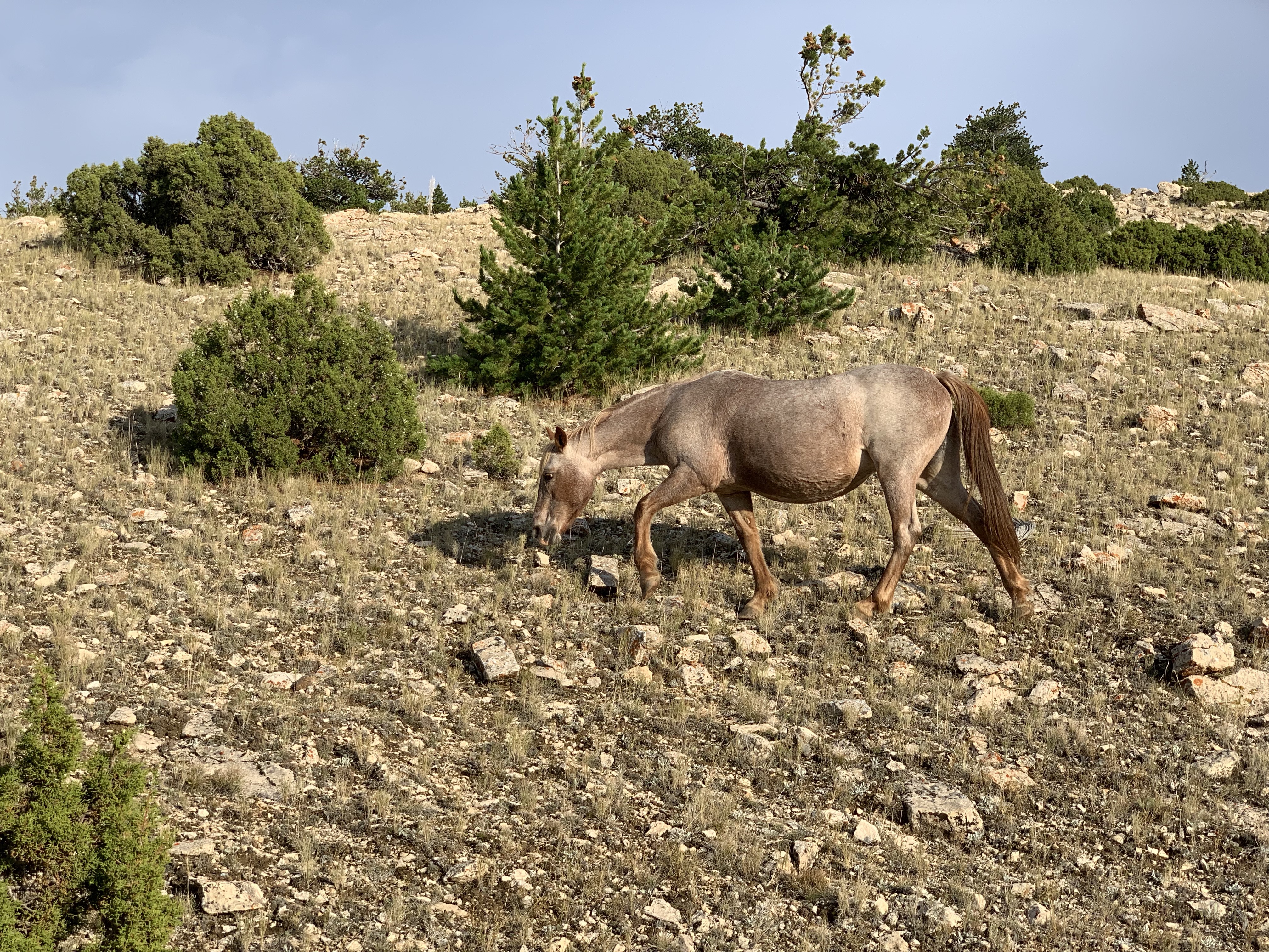 BLKuXcSkRQmVsYfwmD0AIw