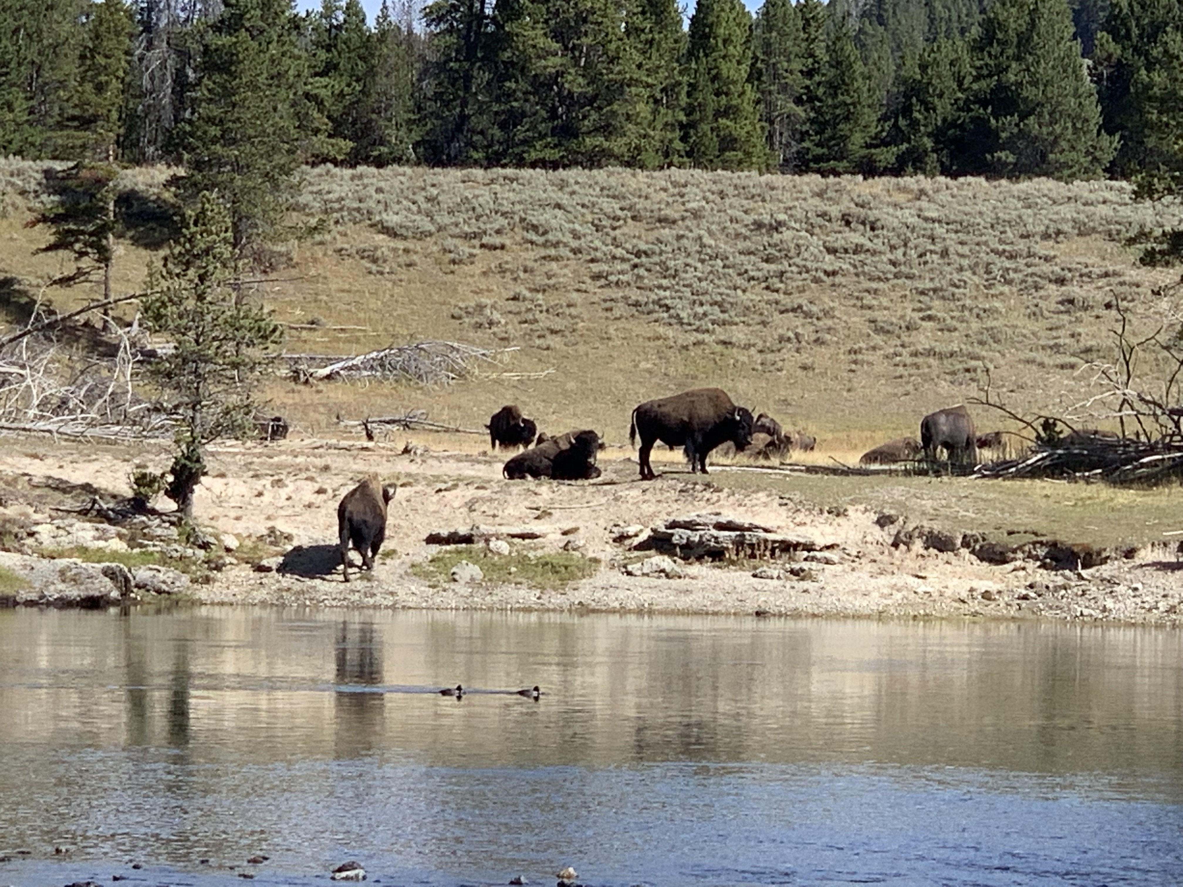 cZbJoxxWTCGaR4dMCkiZMQ