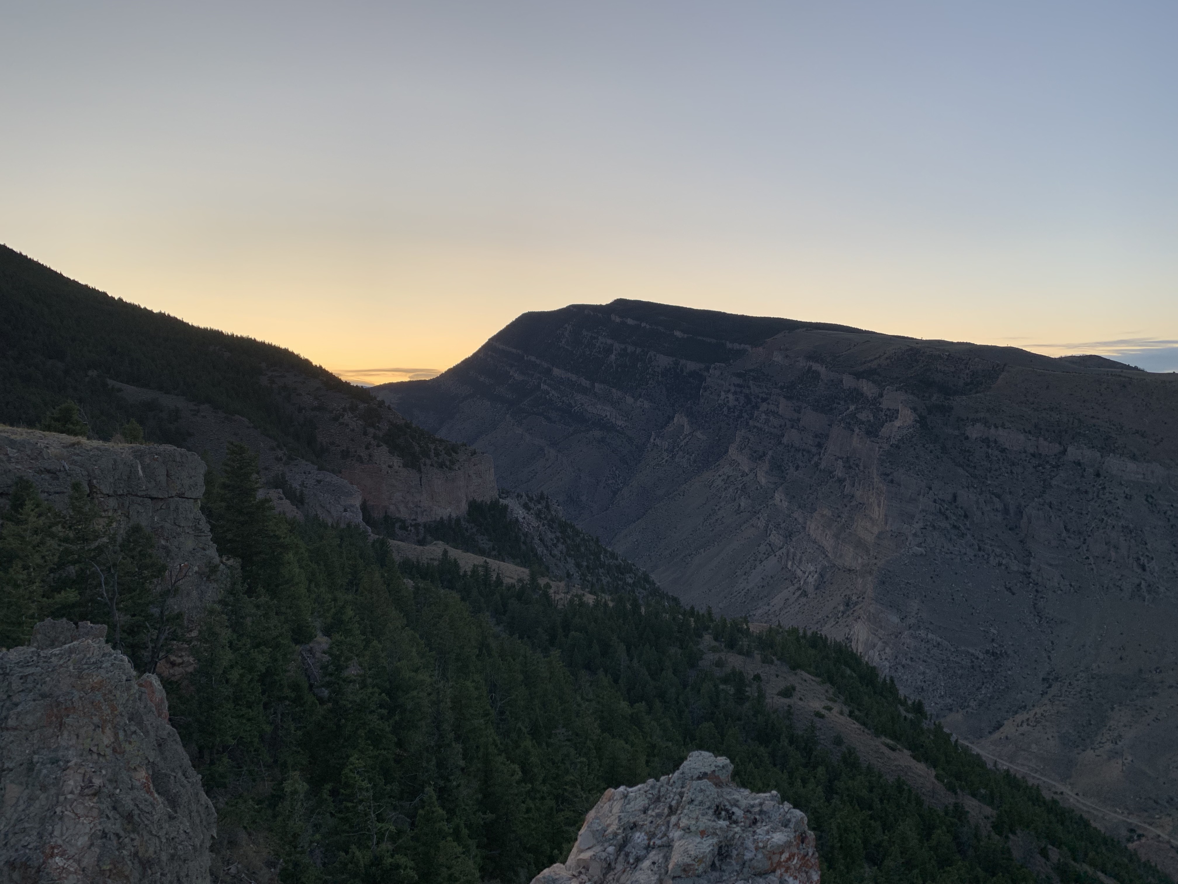 ERRME3qyTx6805tthRLk5w