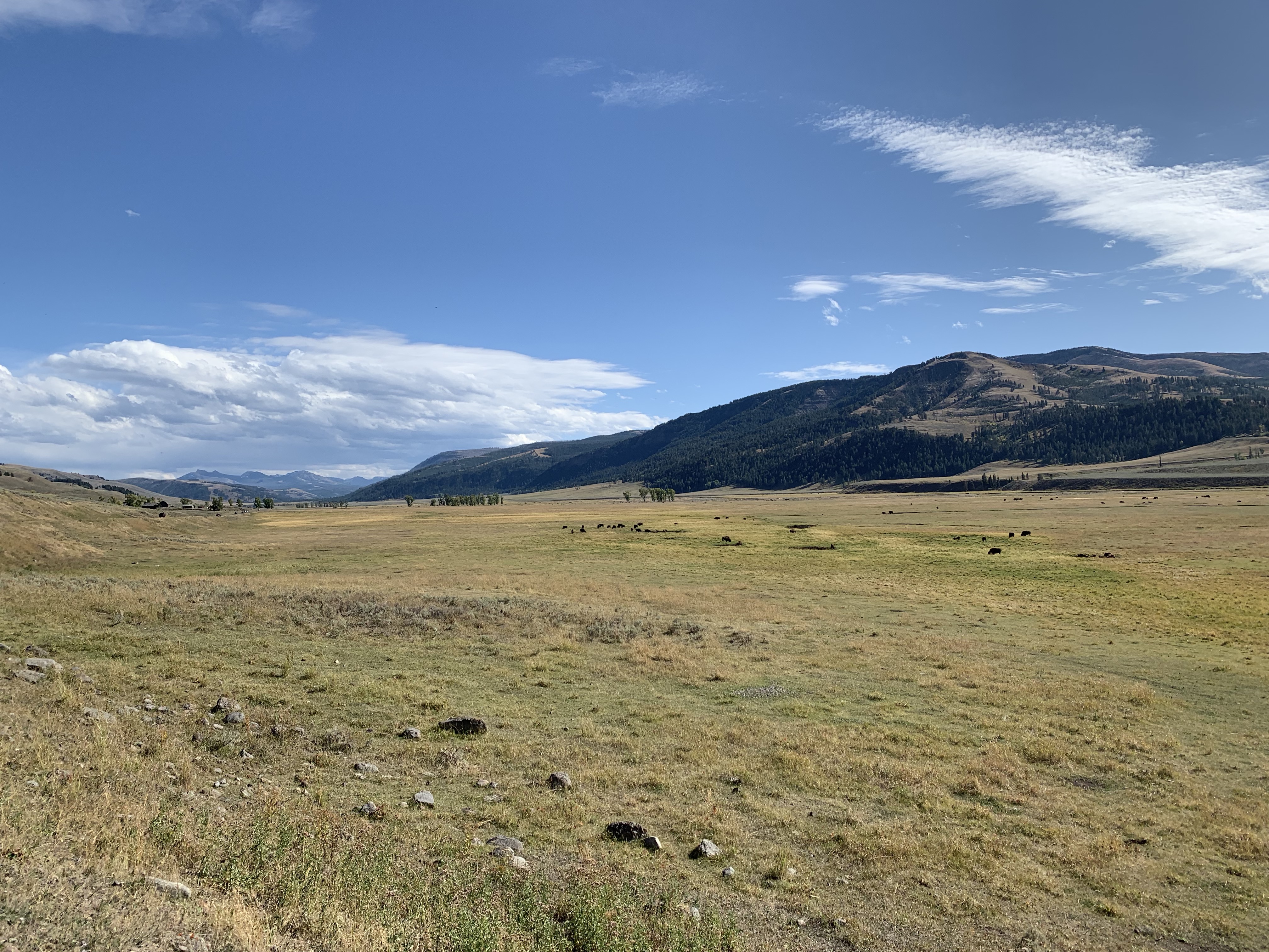 eue0rNguThihtCevAmNB3Q