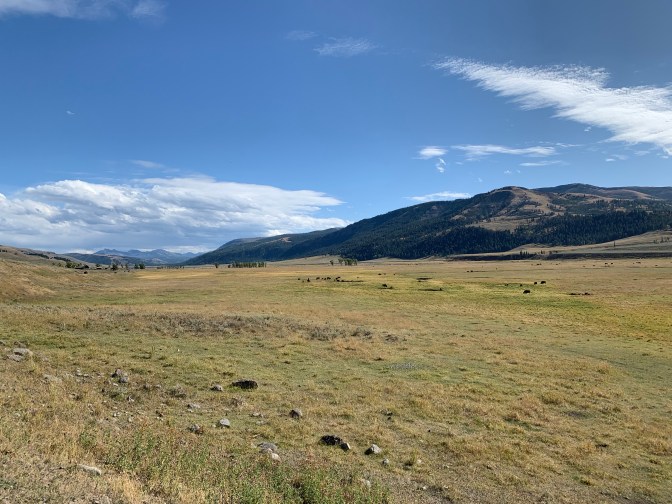 eue0rNguThihtCevAmNB3Q