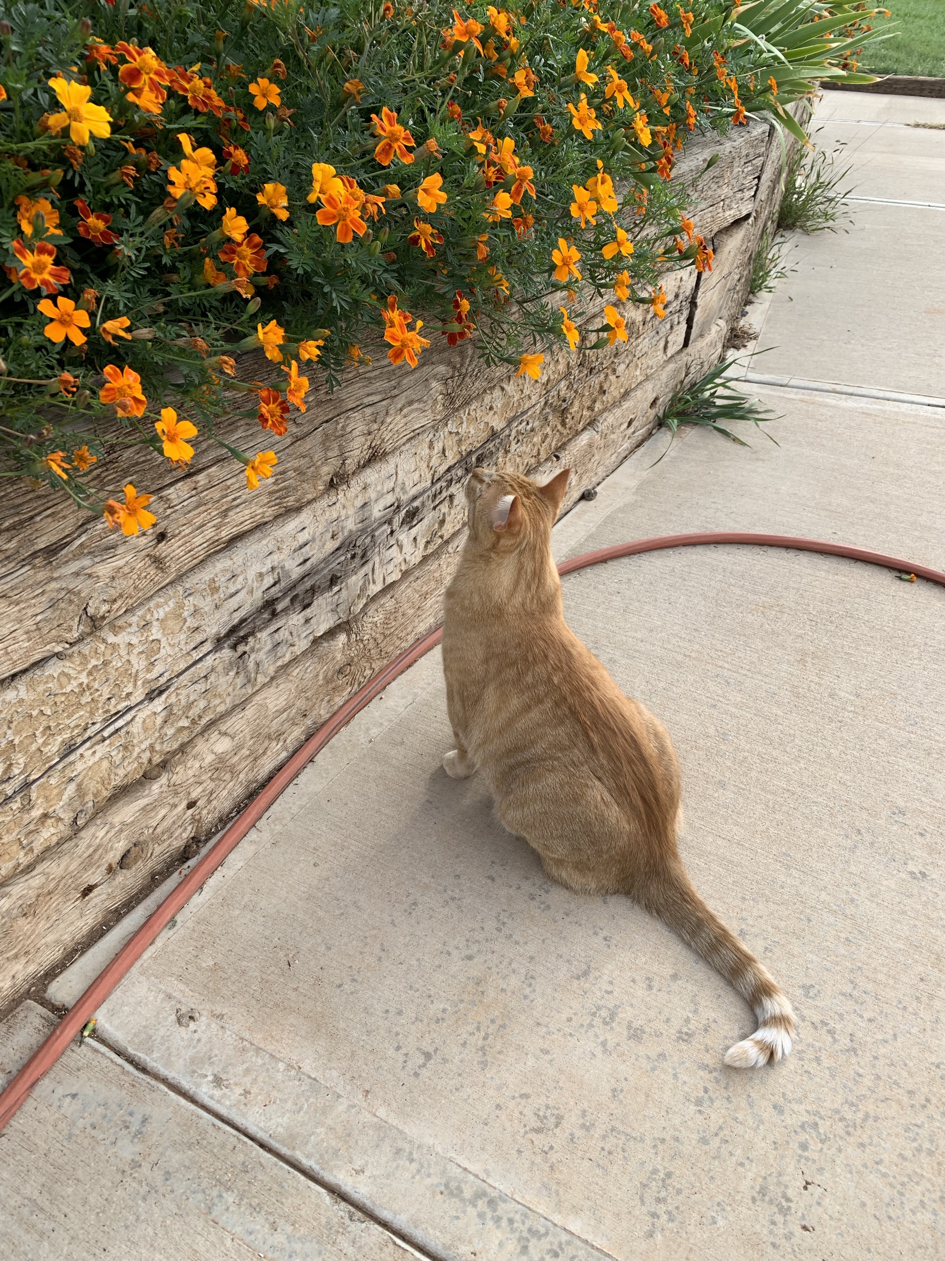 EvNwGwASRjq+ENp0A%UG7w