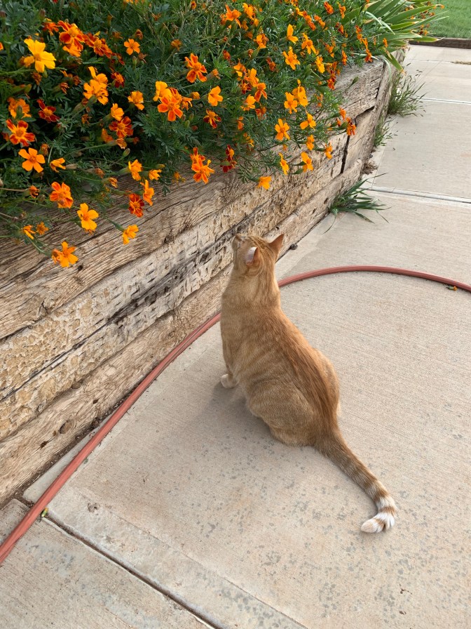 EvNwGwASRjq+ENp0A%UG7w