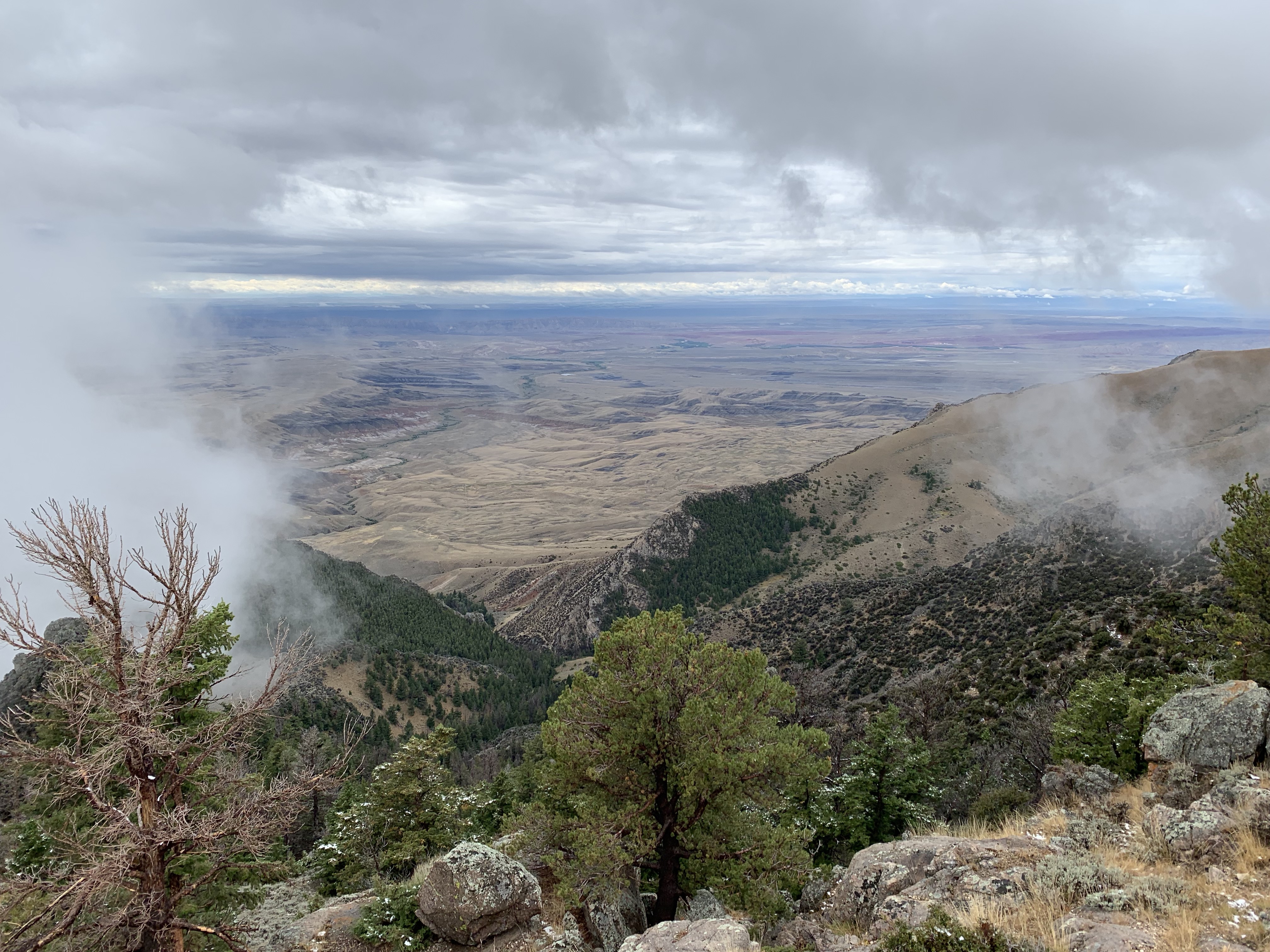 F8jlCxZVTmmkfGocl5RdIQ