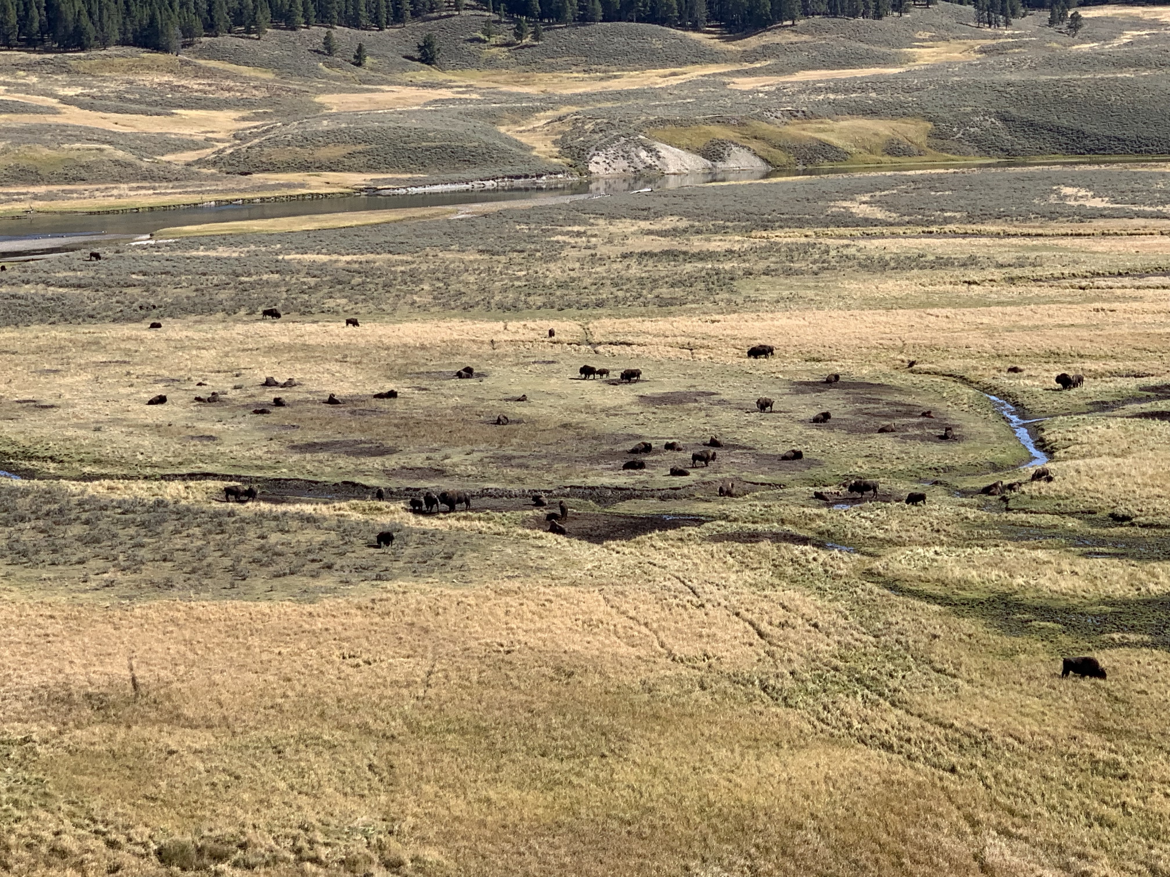 fCGT7EhzQ526Ncqlz5zqSQ