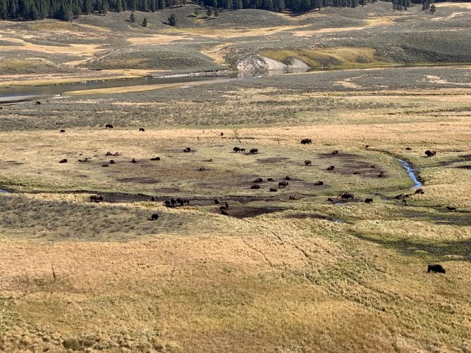 fCGT7EhzQ526Ncqlz5zqSQ