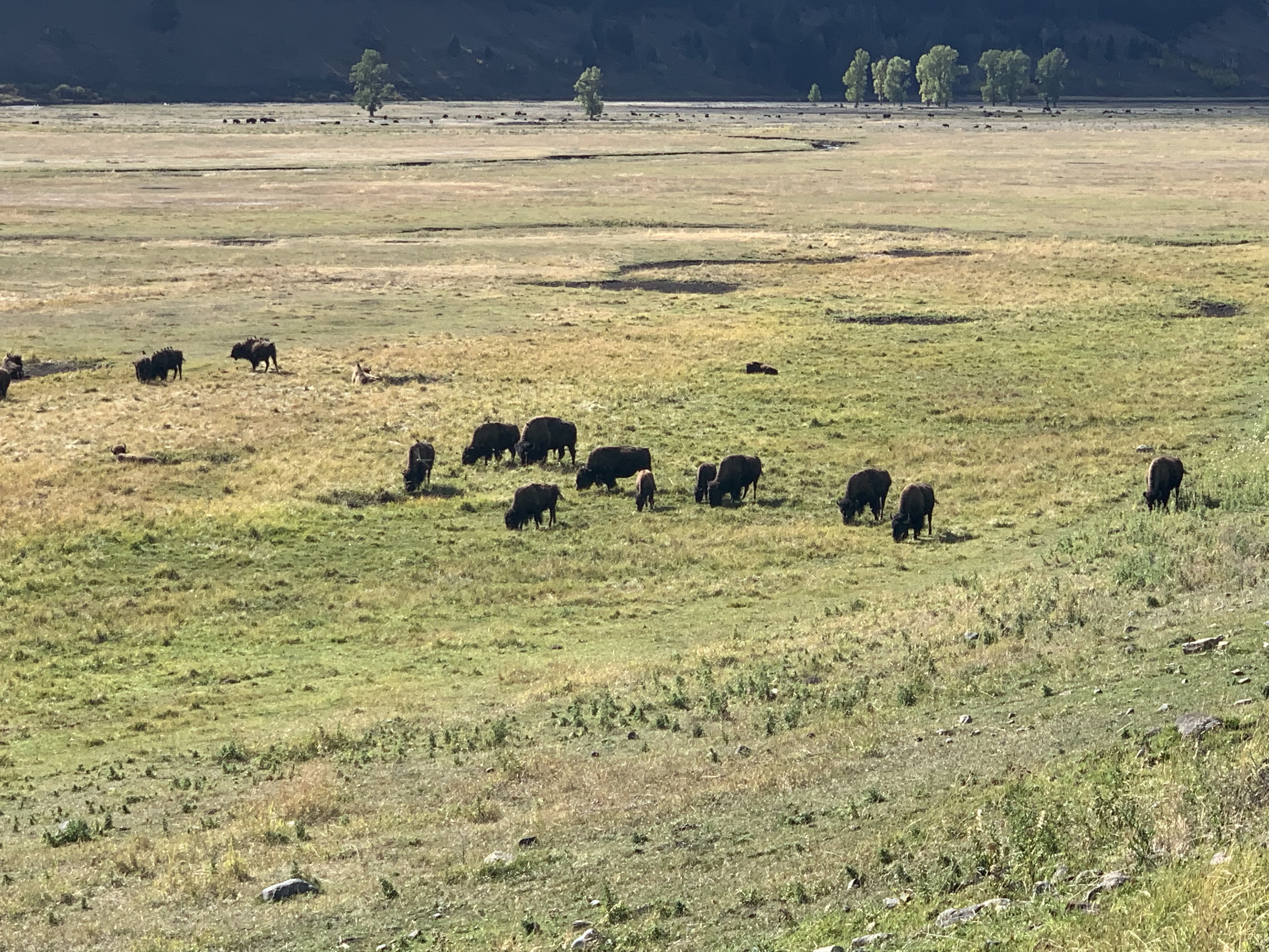 fDQWgNieSt+C0Gv7Uk%AjQ