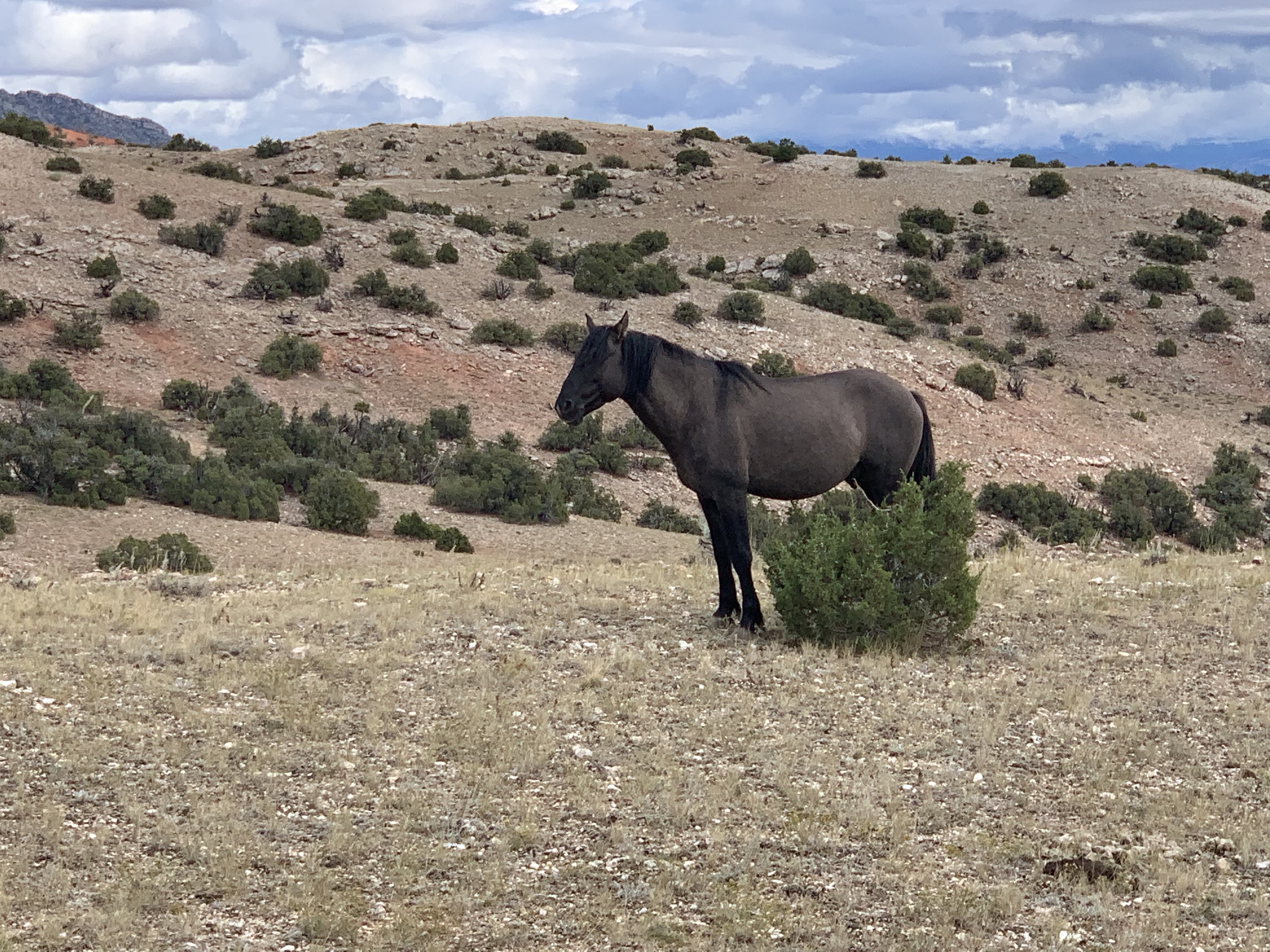 I956PbqnQYKjgpWxrGxBWA