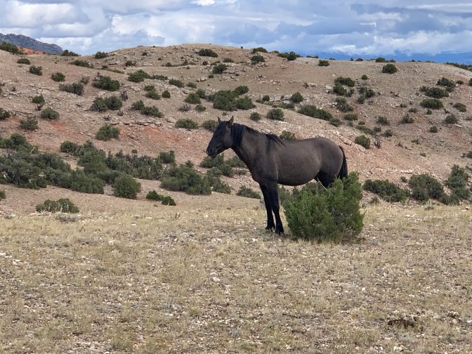 I956PbqnQYKjgpWxrGxBWA