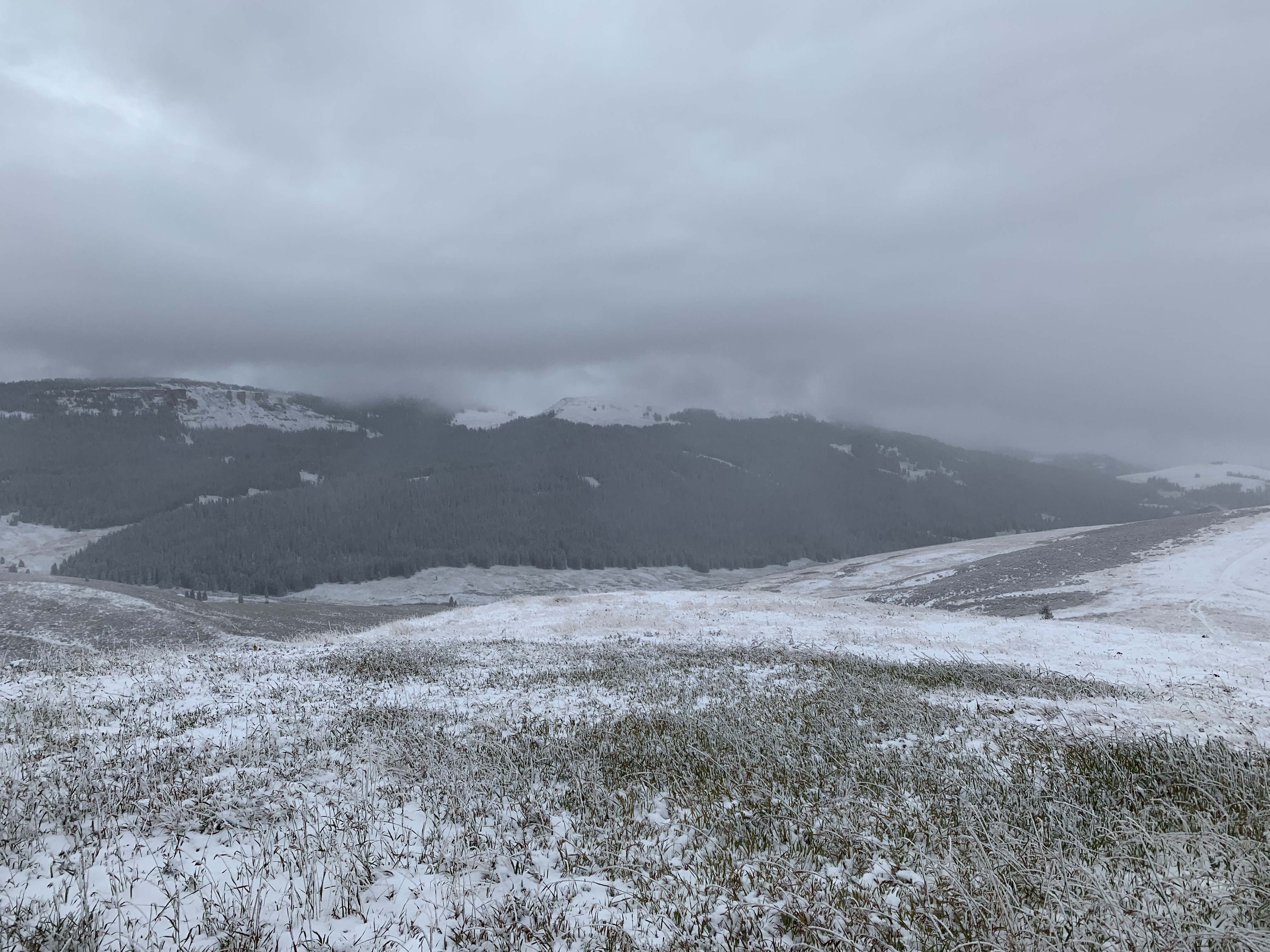 I99l4AJcQyy+kEZ0t8wlhw