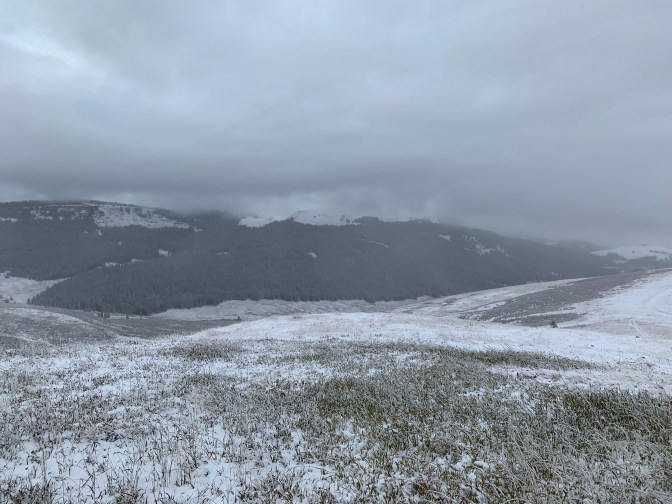 I99l4AJcQyy+kEZ0t8wlhw