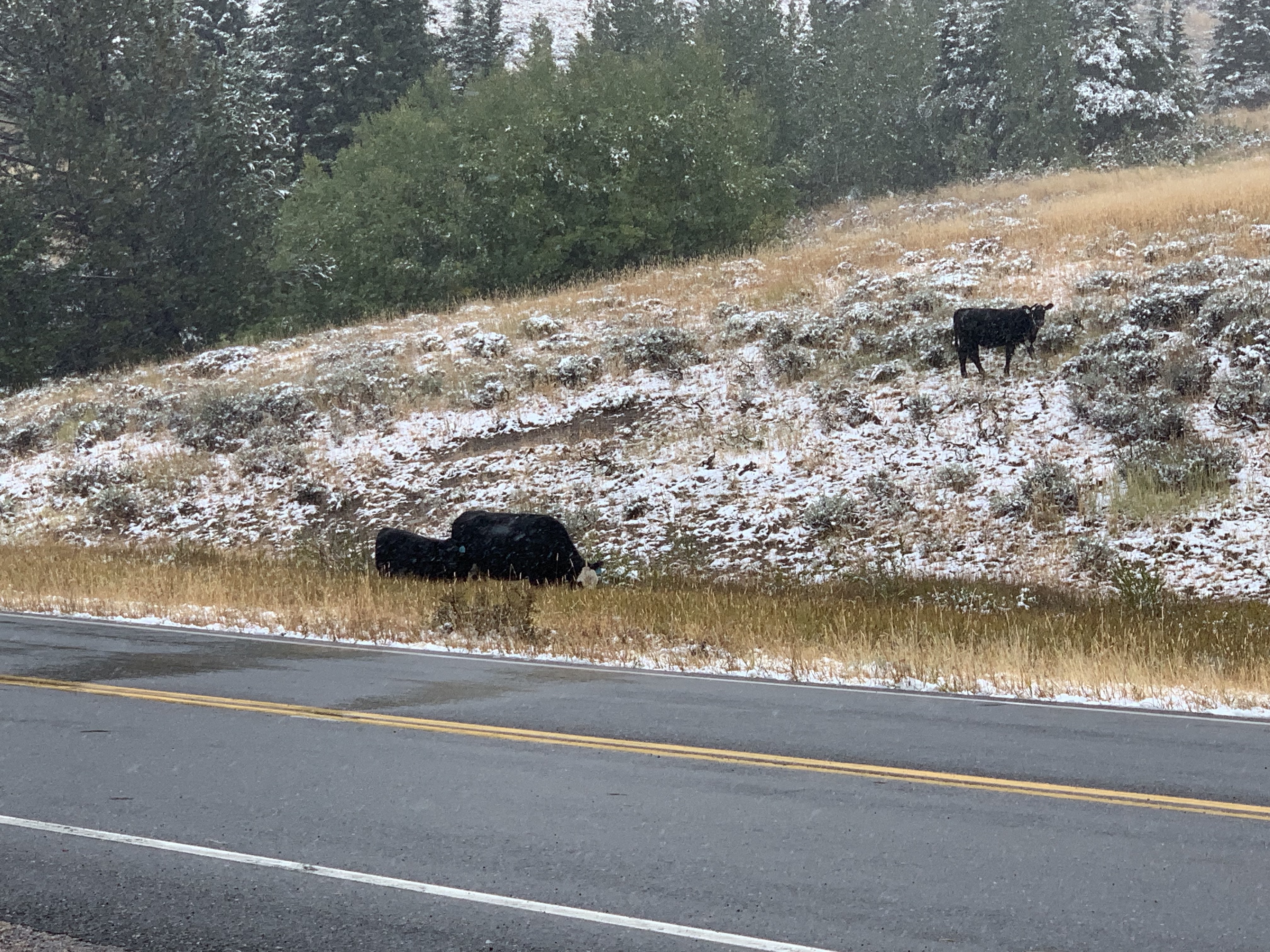 %iddHKOQRhyZYhBRVYuqoA