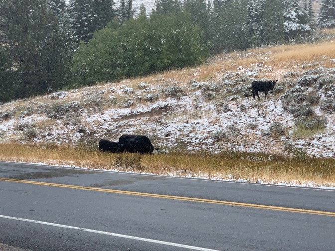 %iddHKOQRhyZYhBRVYuqoA