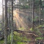 On the True Joy which Comes from Philosophy