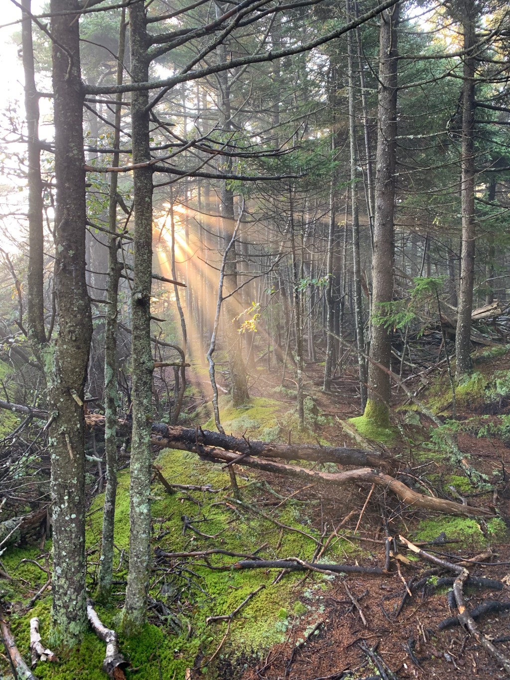 On the True Joy which Comes from Philosophy