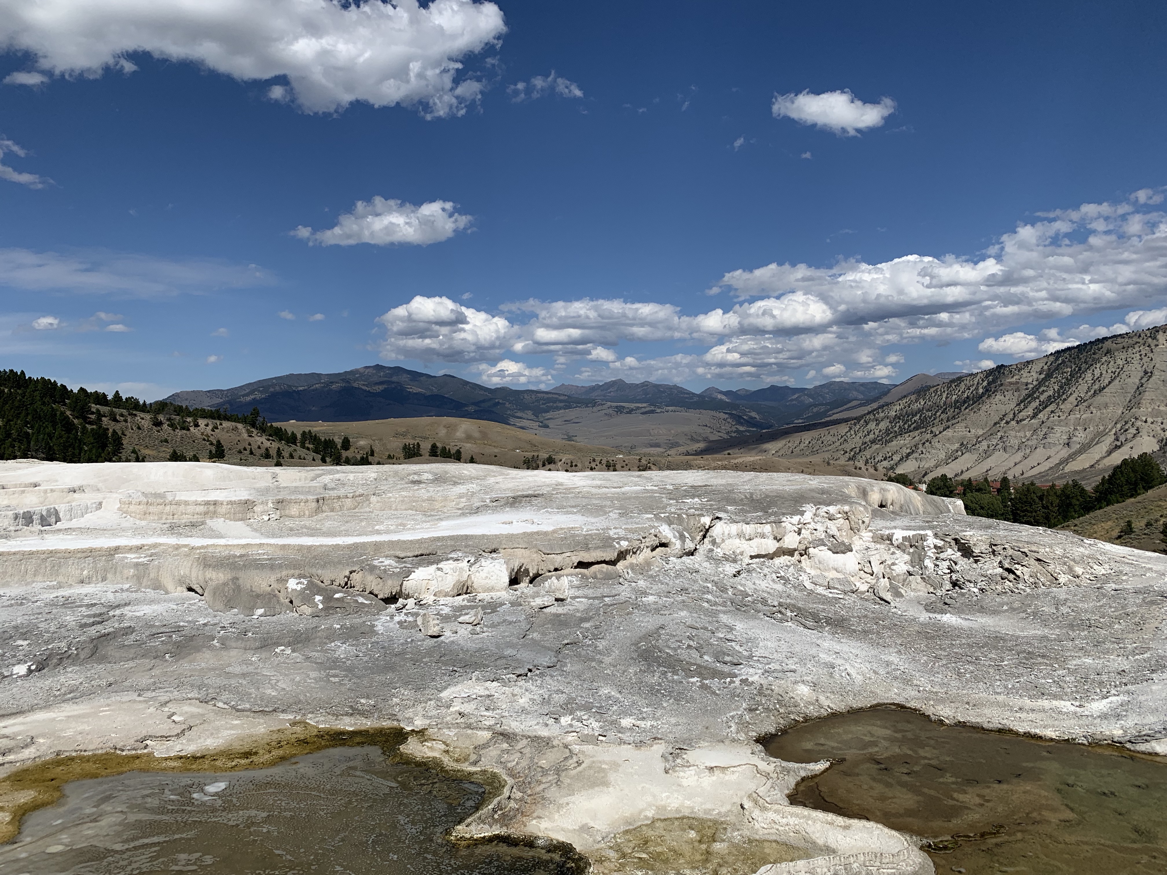 JcVpBNb6T8yX2NqV2JLXWA