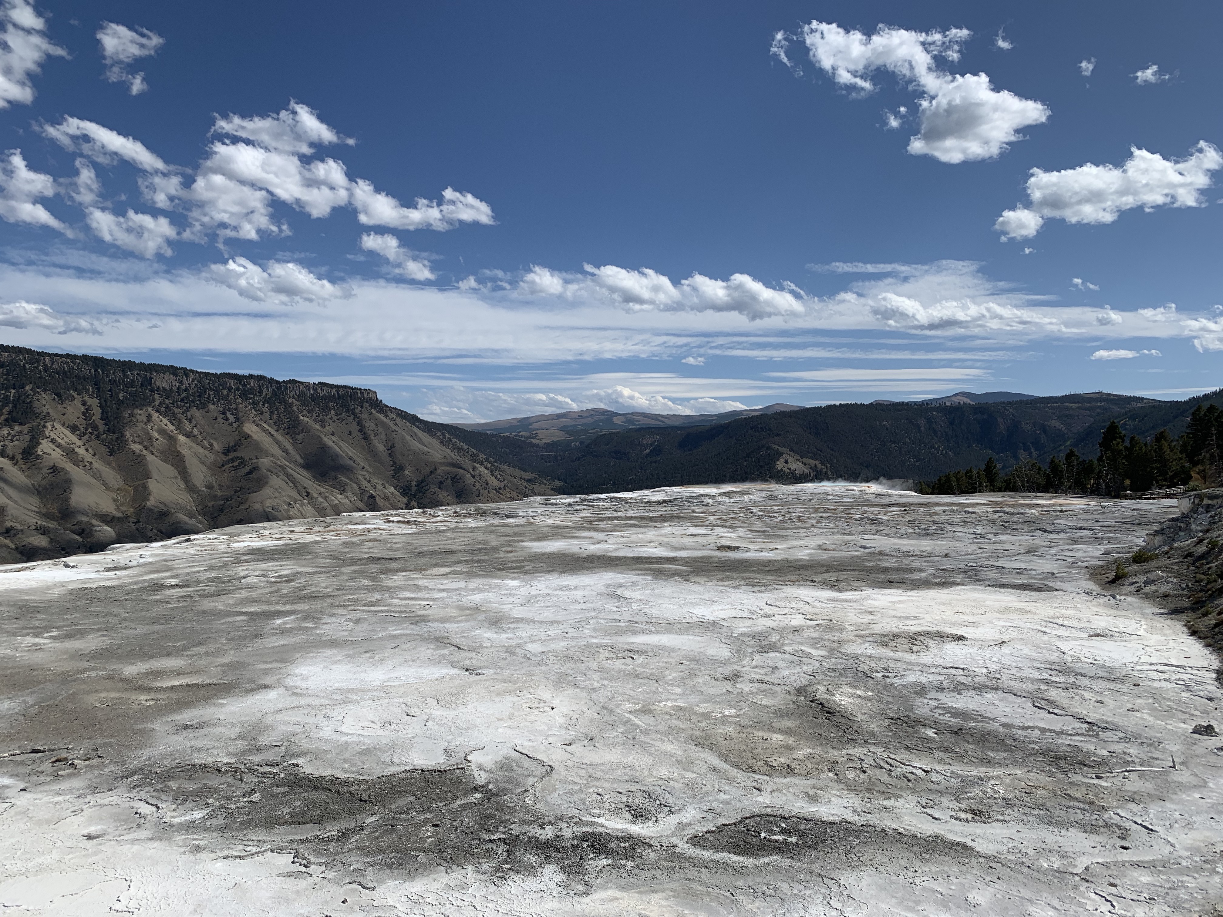 JQywPYs4RZWv9S1IubPIiA