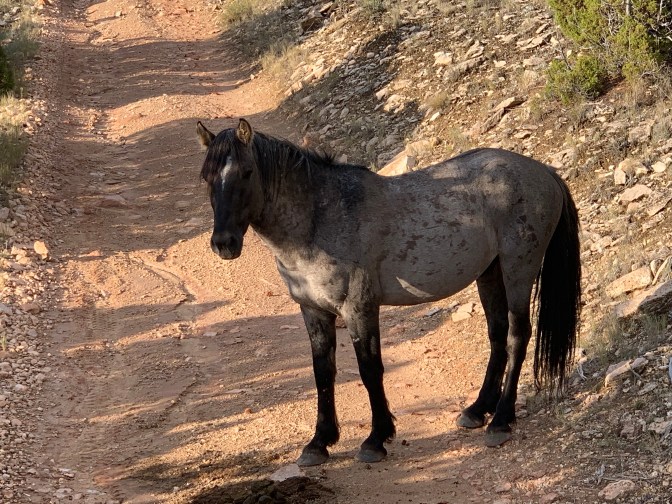 KbuoFP9mQgy97kPB52RIDw