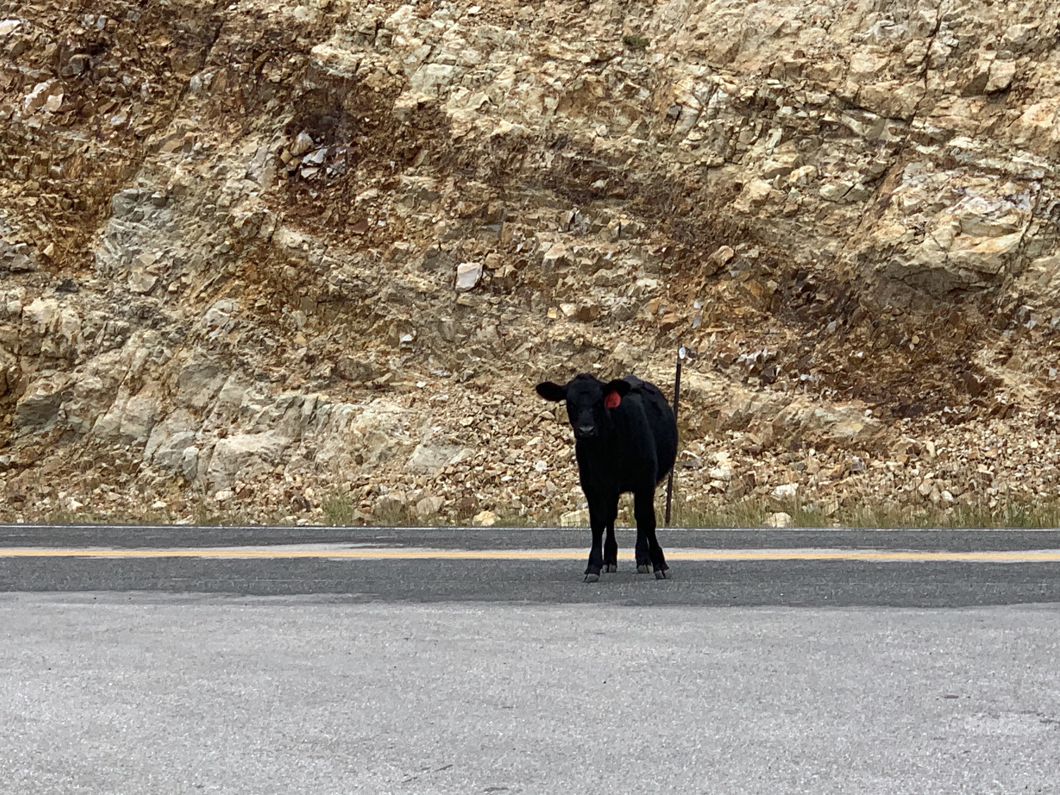 kYySk2GPSyaD6N0Dm9MBPw