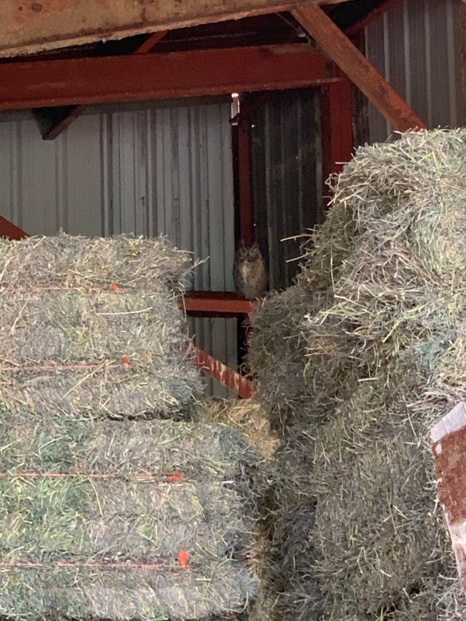 LKb+CLJGRjWuaNZ02PaEJg