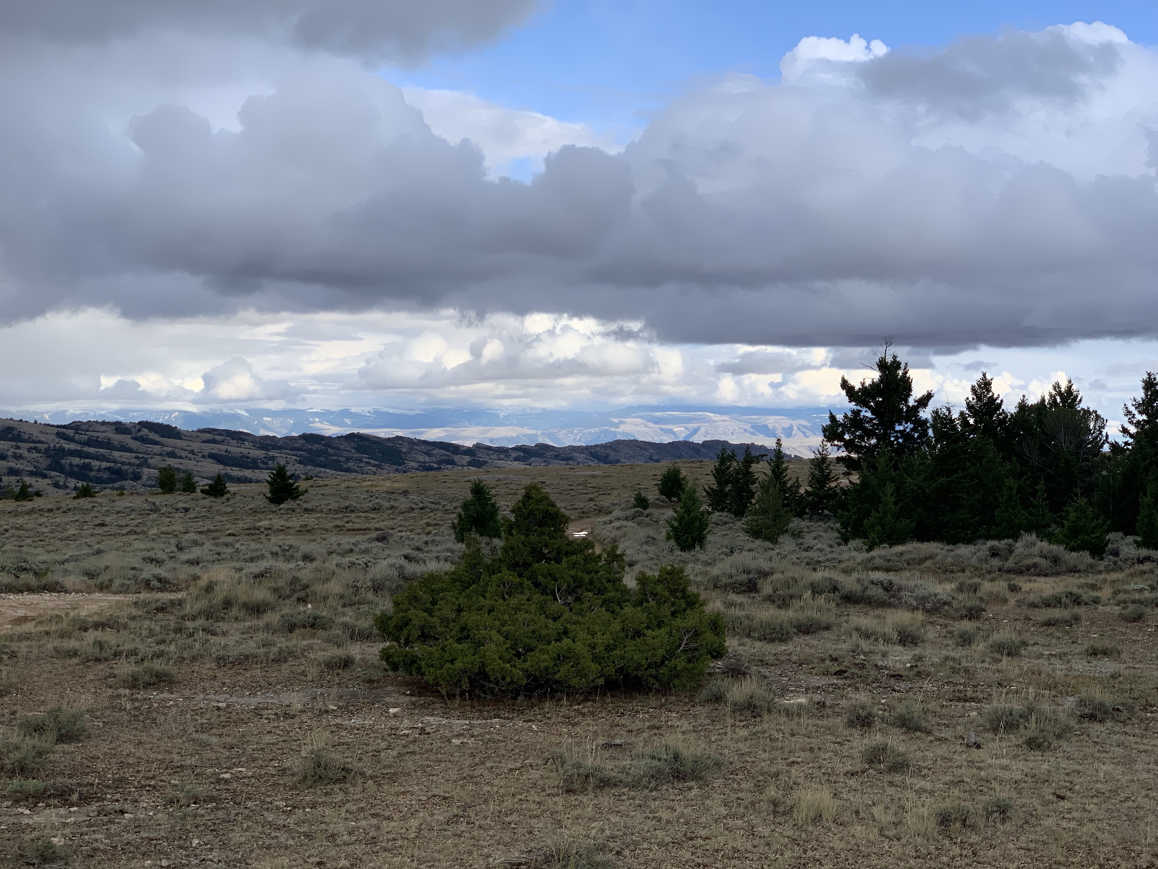 Mk3UpkOYRji4FcdaLsI7OQ