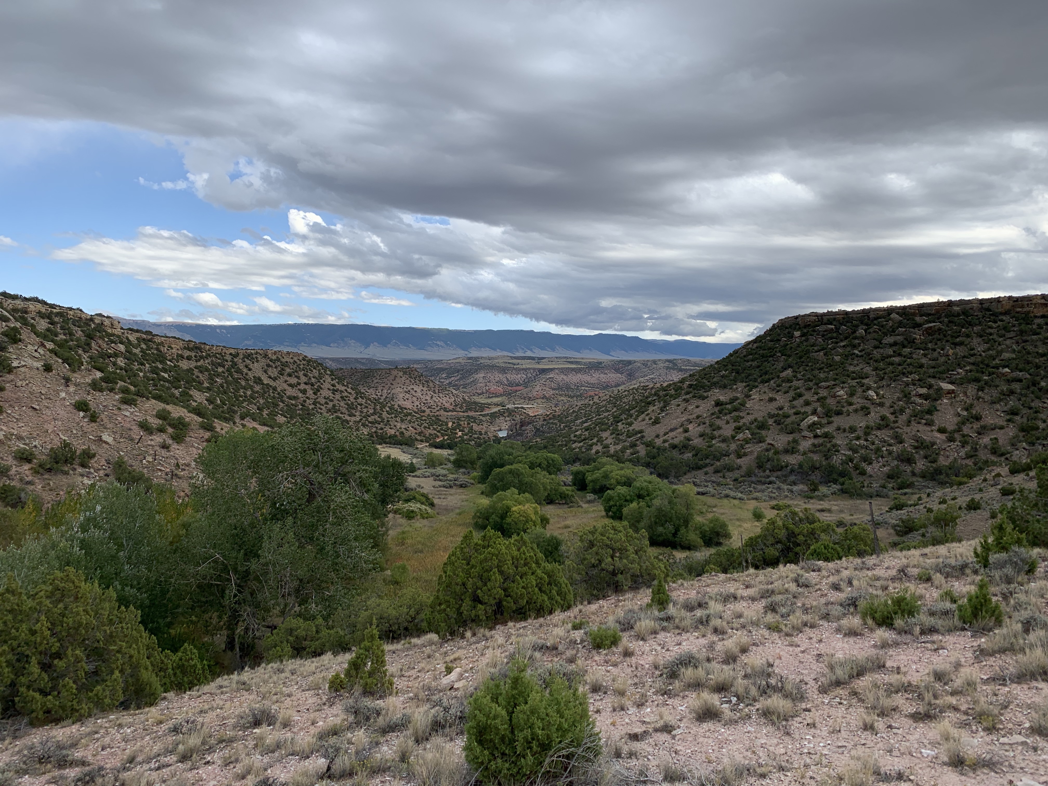 mTY0+80nQE29+6VYxMcP3Q