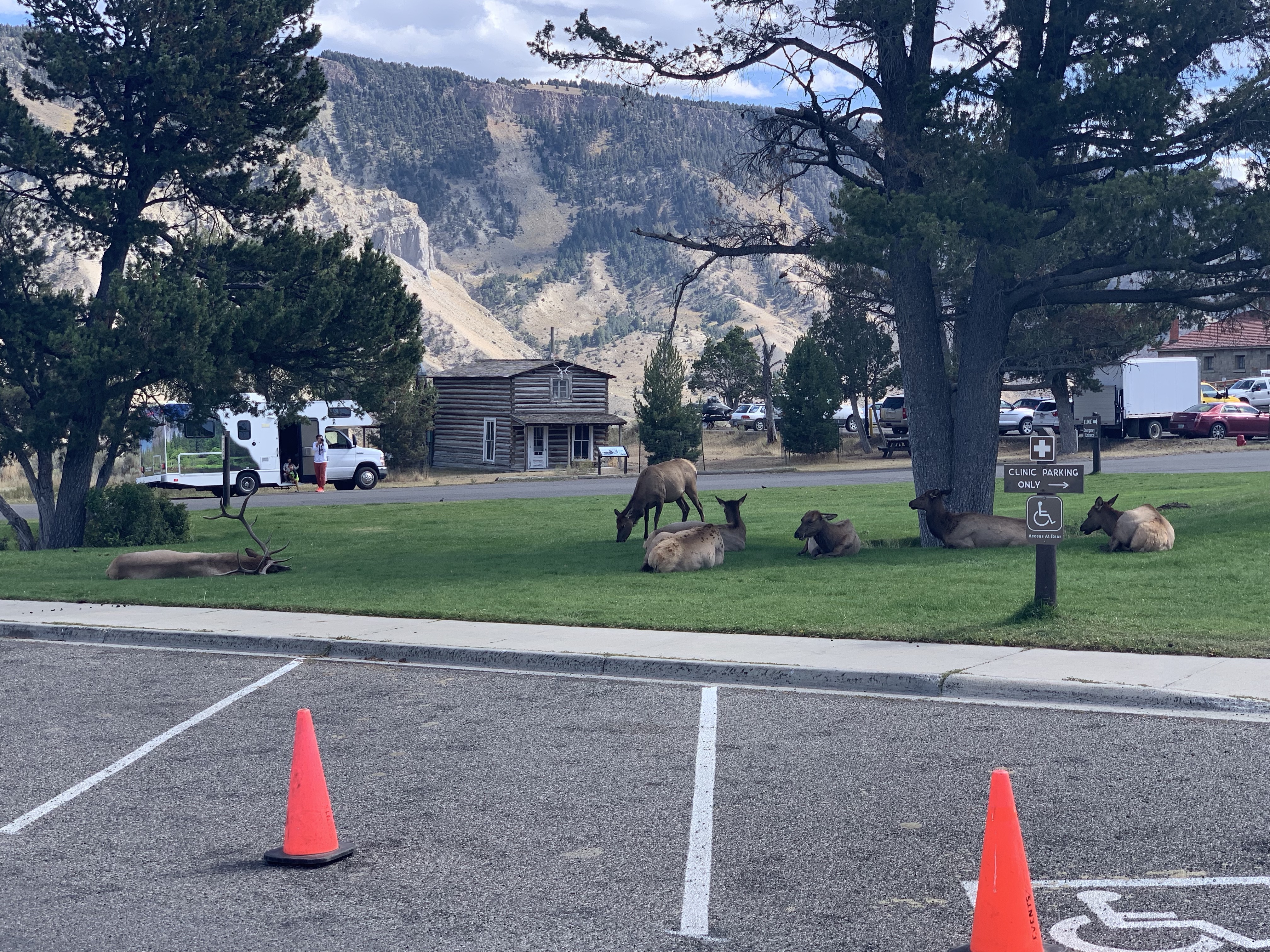 NvX0pvZ+QMOpu6mdtsza7w