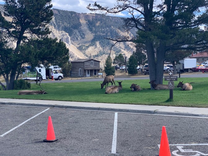 NvX0pvZ+QMOpu6mdtsza7w