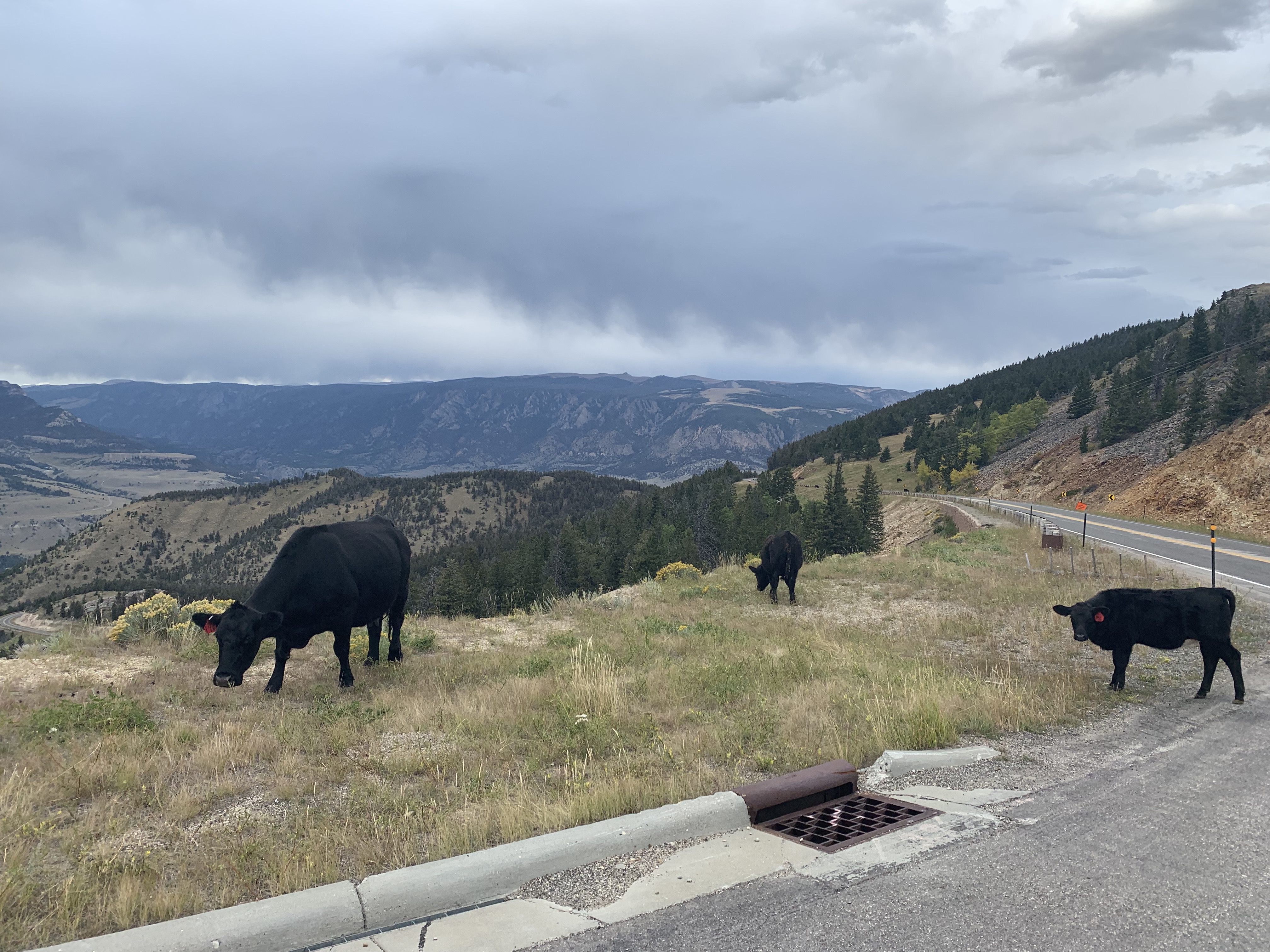 ogDIGYEBSAimM3OGUYb%Lg