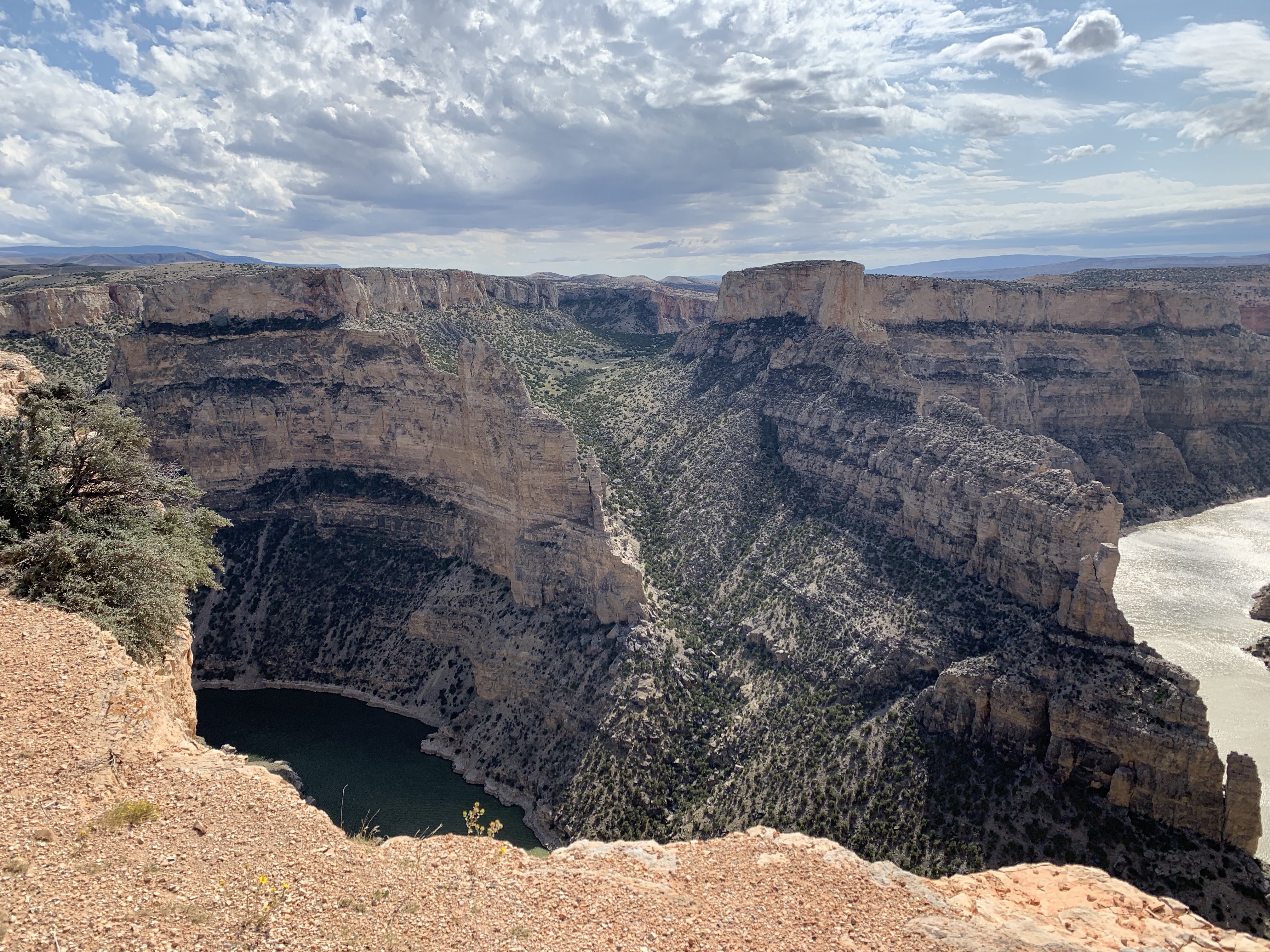 PLwF3HTWToyZAUATA8FSfA