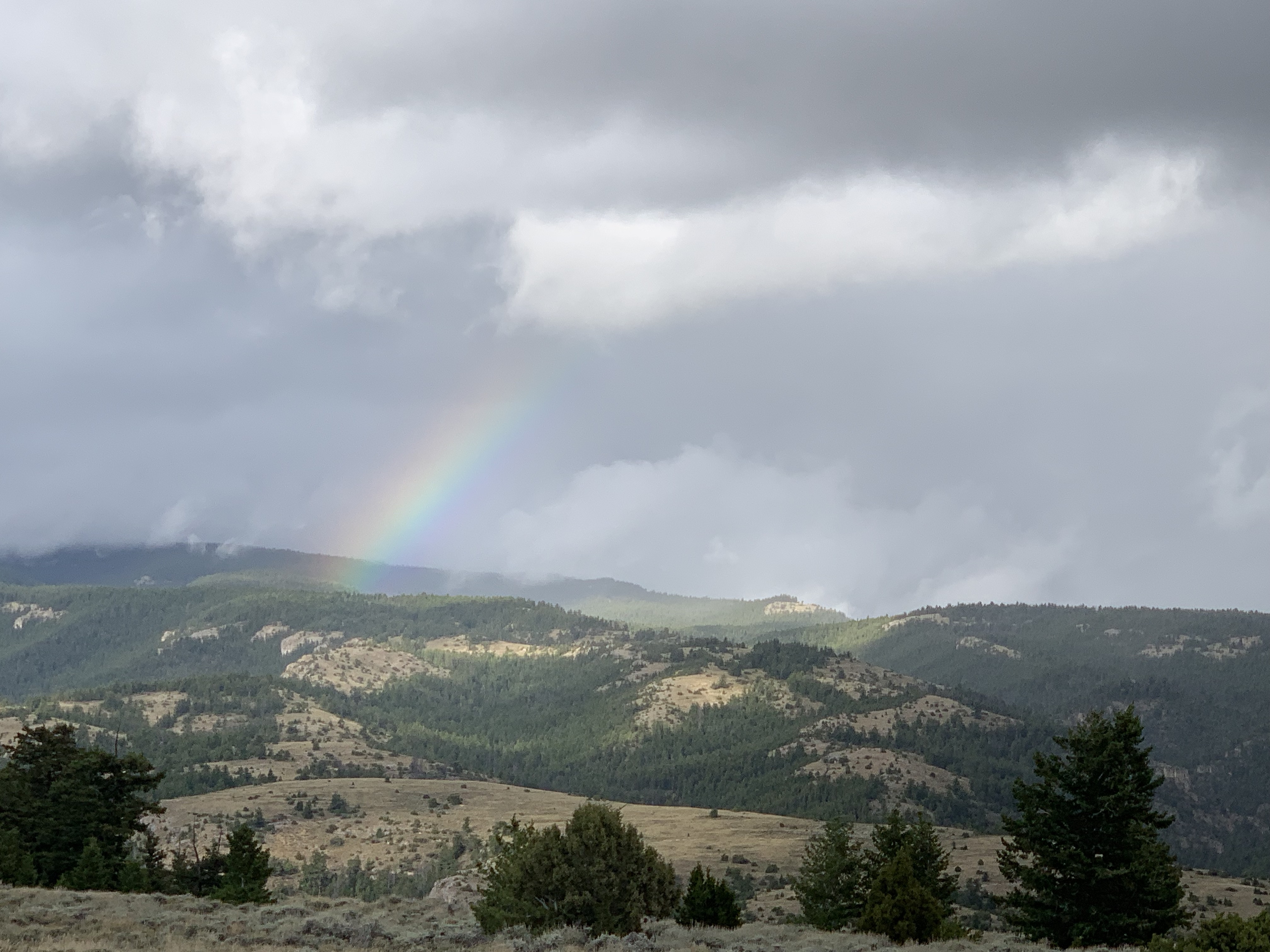 qYZrJ+mOQymIM4MxMqspBA