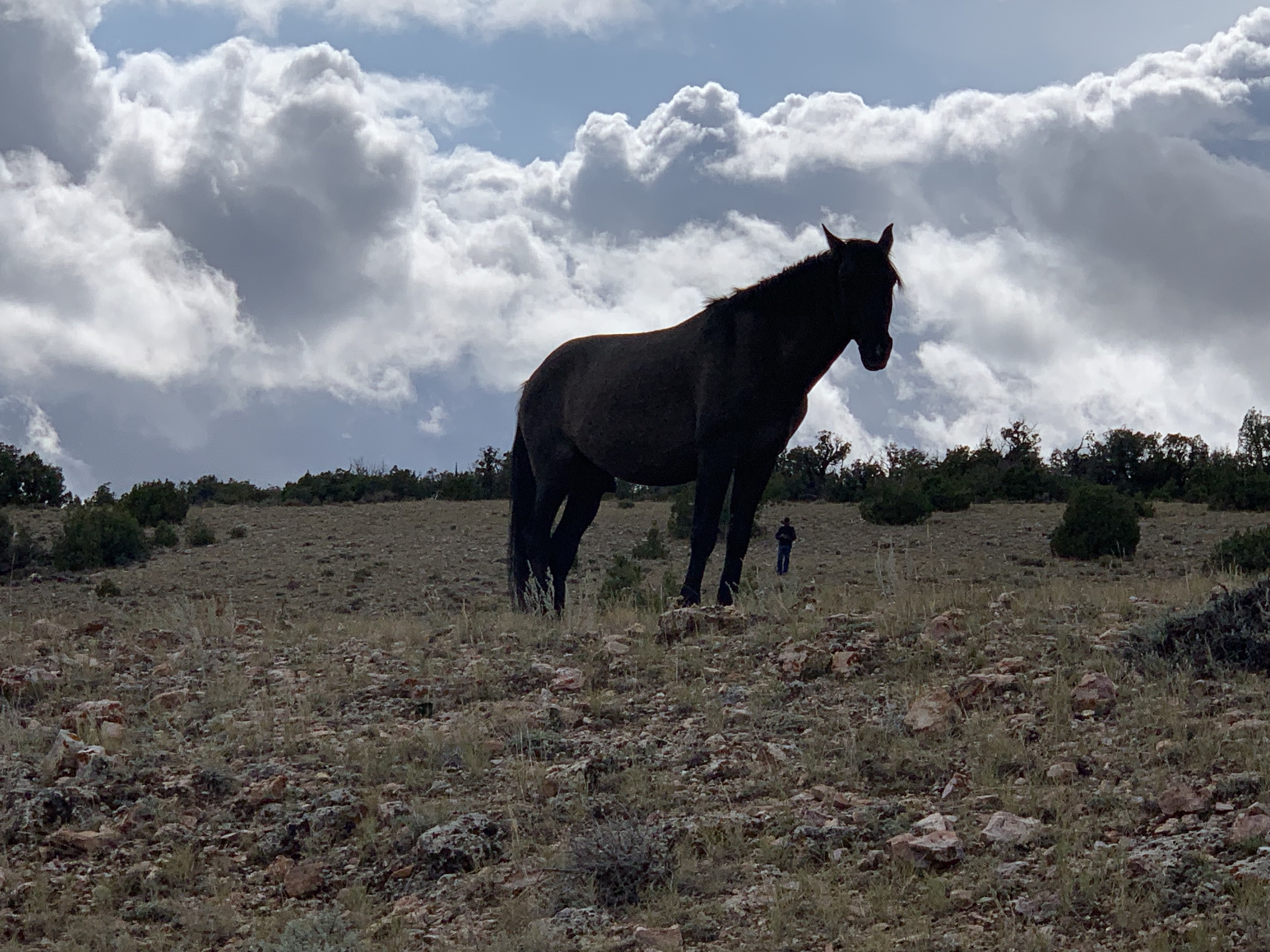 rGgRXrW4RxKRs3kaFaj7Ew