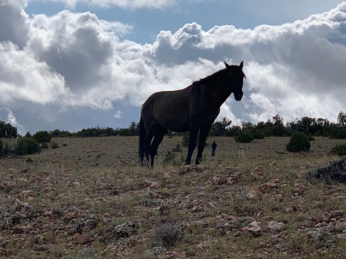 rGgRXrW4RxKRs3kaFaj7Ew