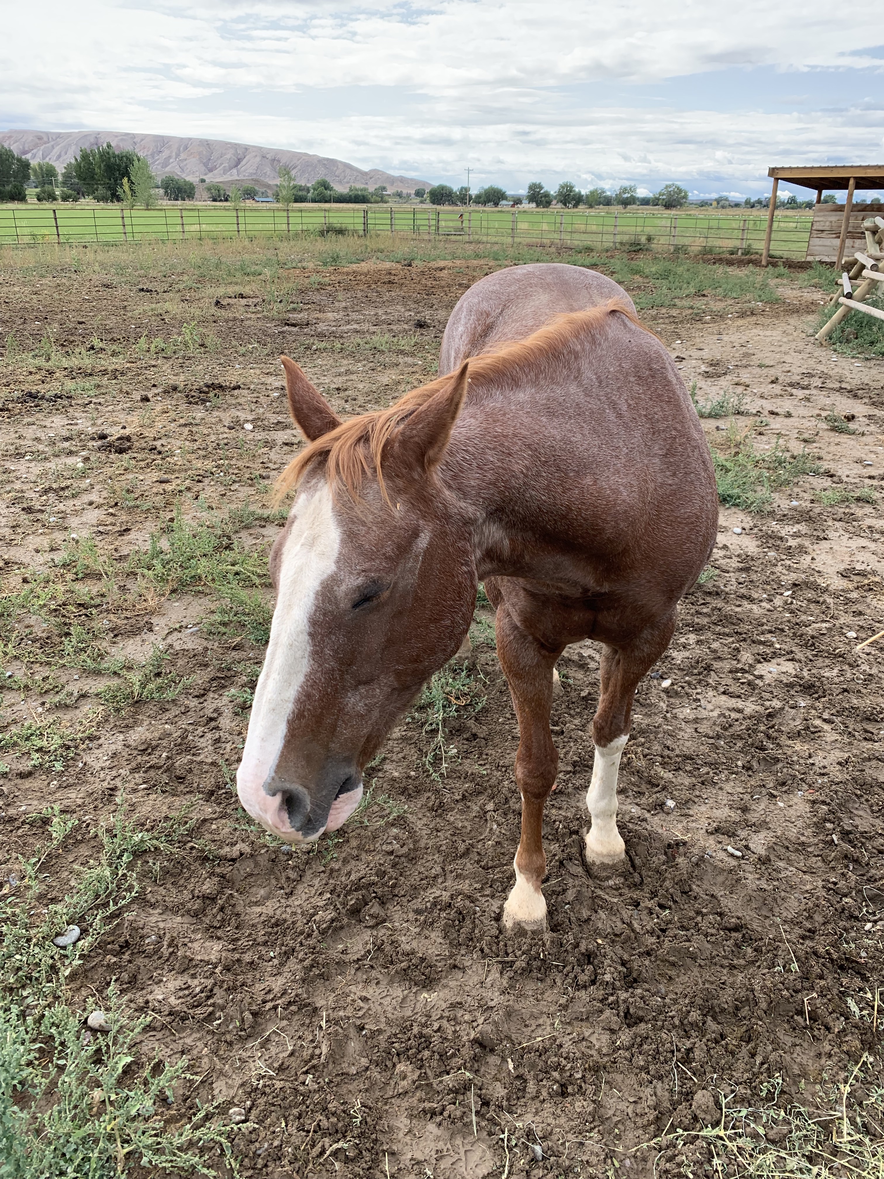 RRfIa%+4Q1Oxt8pNinP+dw