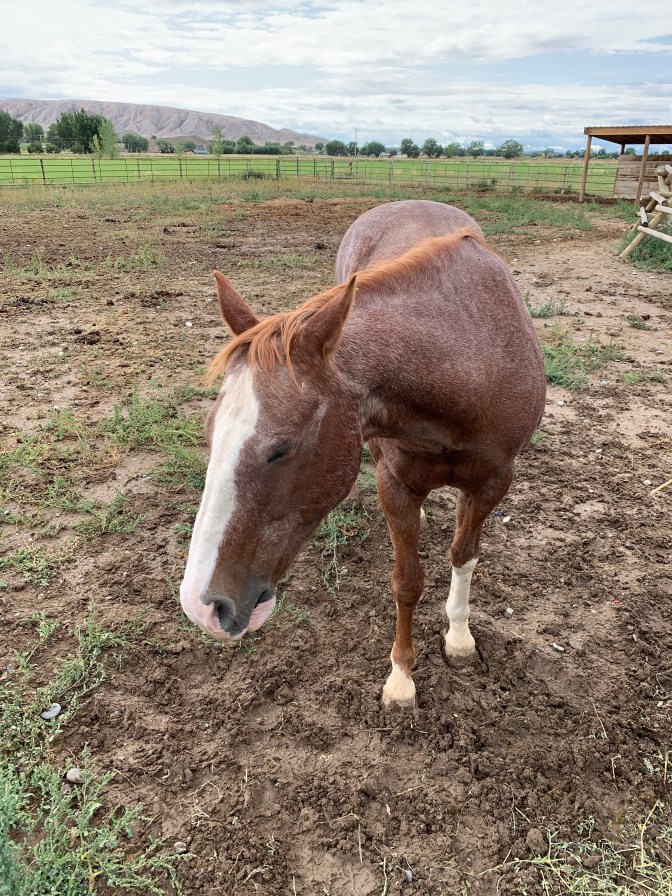 RRfIa%+4Q1Oxt8pNinP+dw